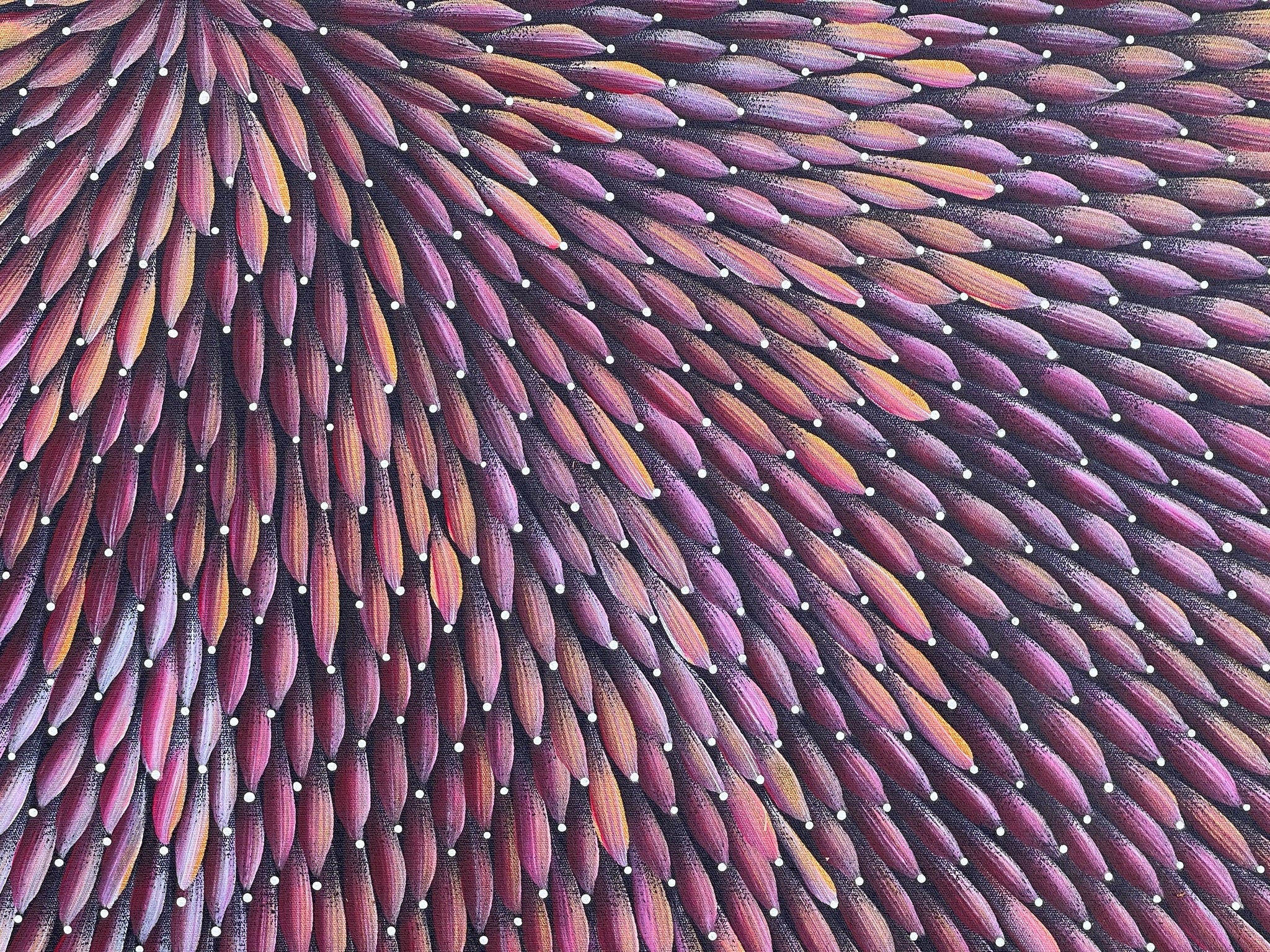 Maryanne Gibson - Bush Medicine Bush Seeds .56-2