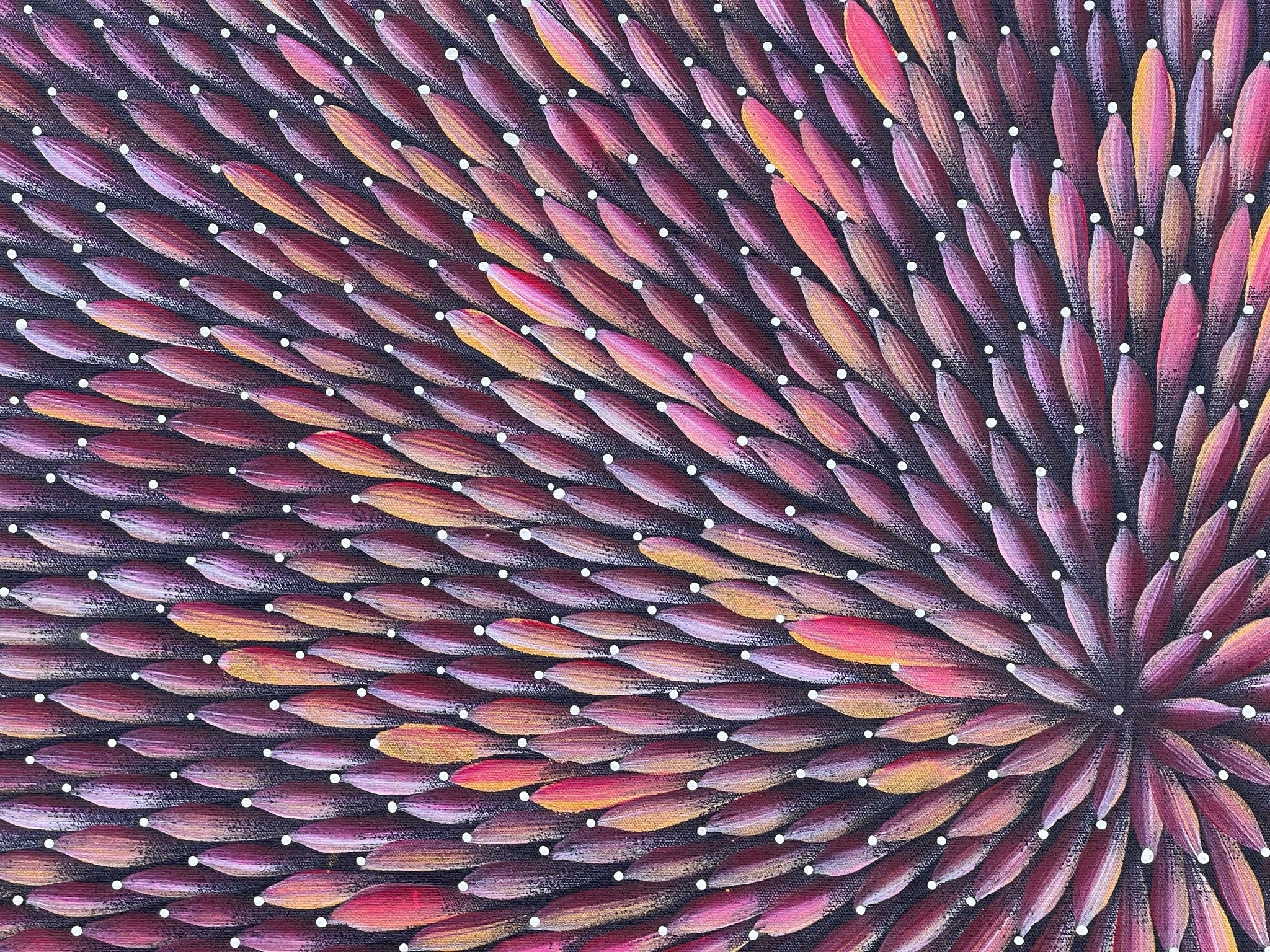 Maryanne Gibson - Bush Medicine Bush Seeds .56-2