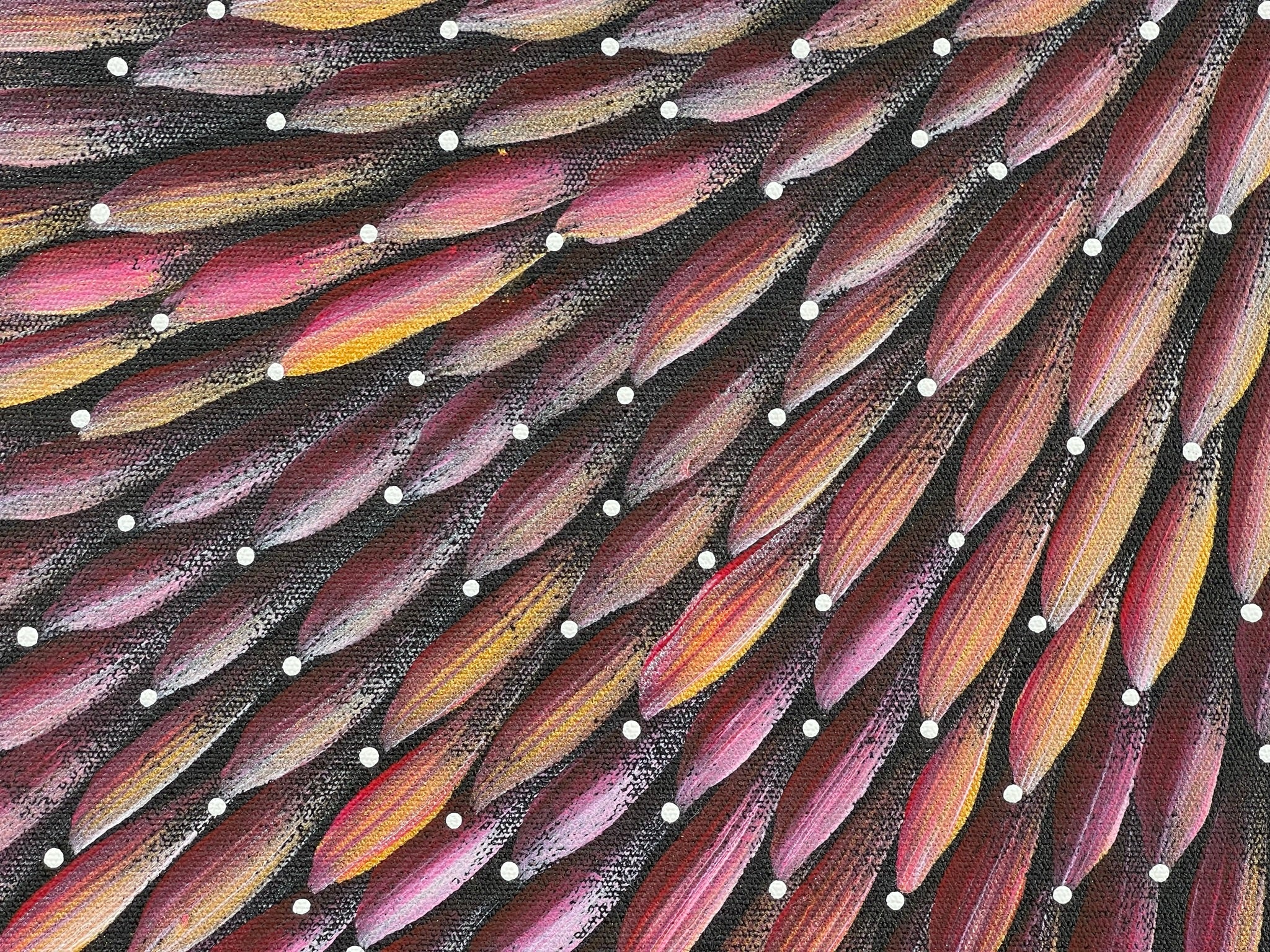 Maryanne Gibson - Bush Medicine Bush Seeds .56-2