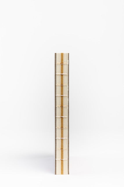 Notebook - Lanita Numina - Muds Cracks