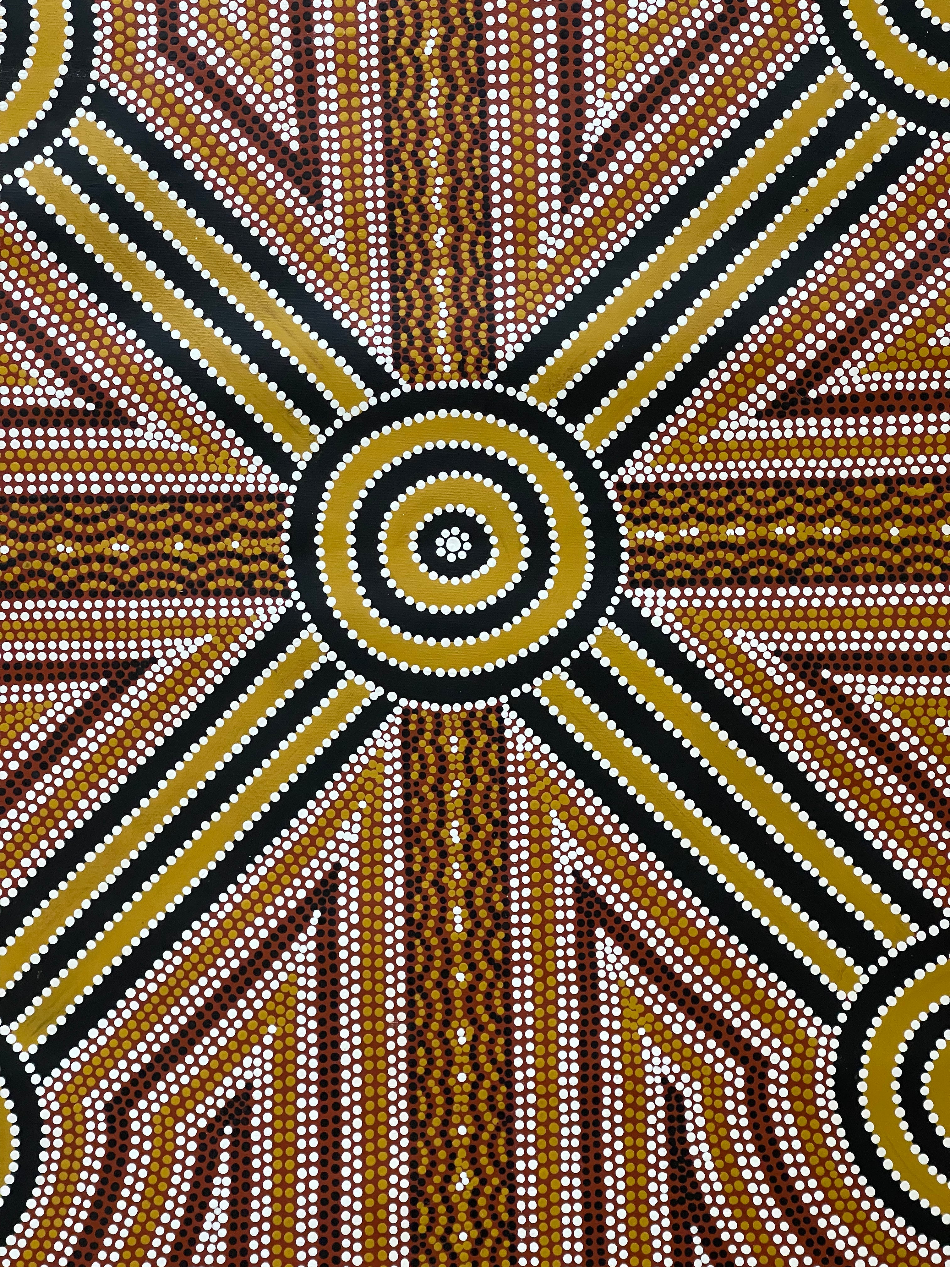 Daniel Pula Turner - Kurrajong Dreaming - 110x110cm .24-3