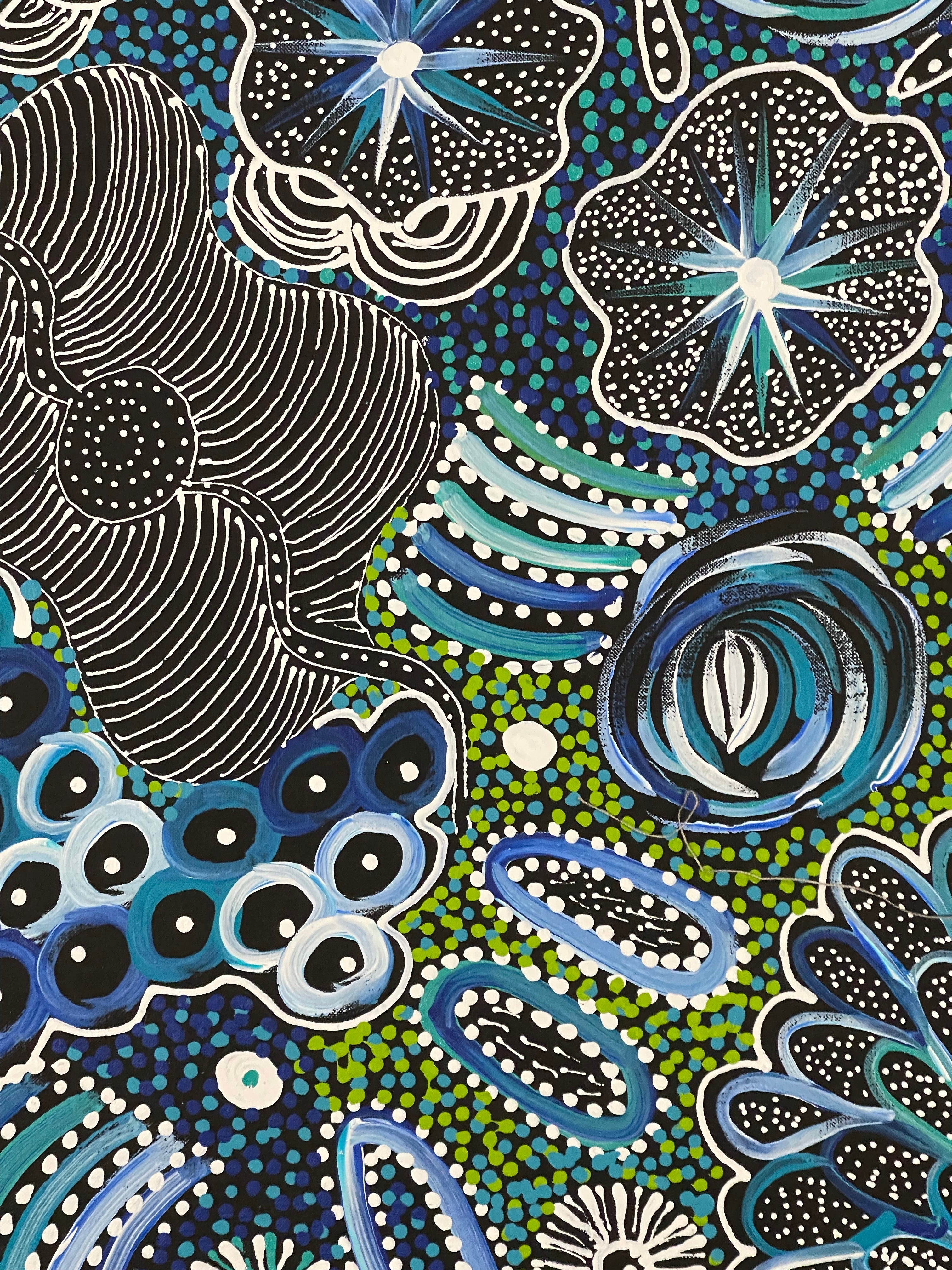 Janet Golder Kngwarreye - My Country .83