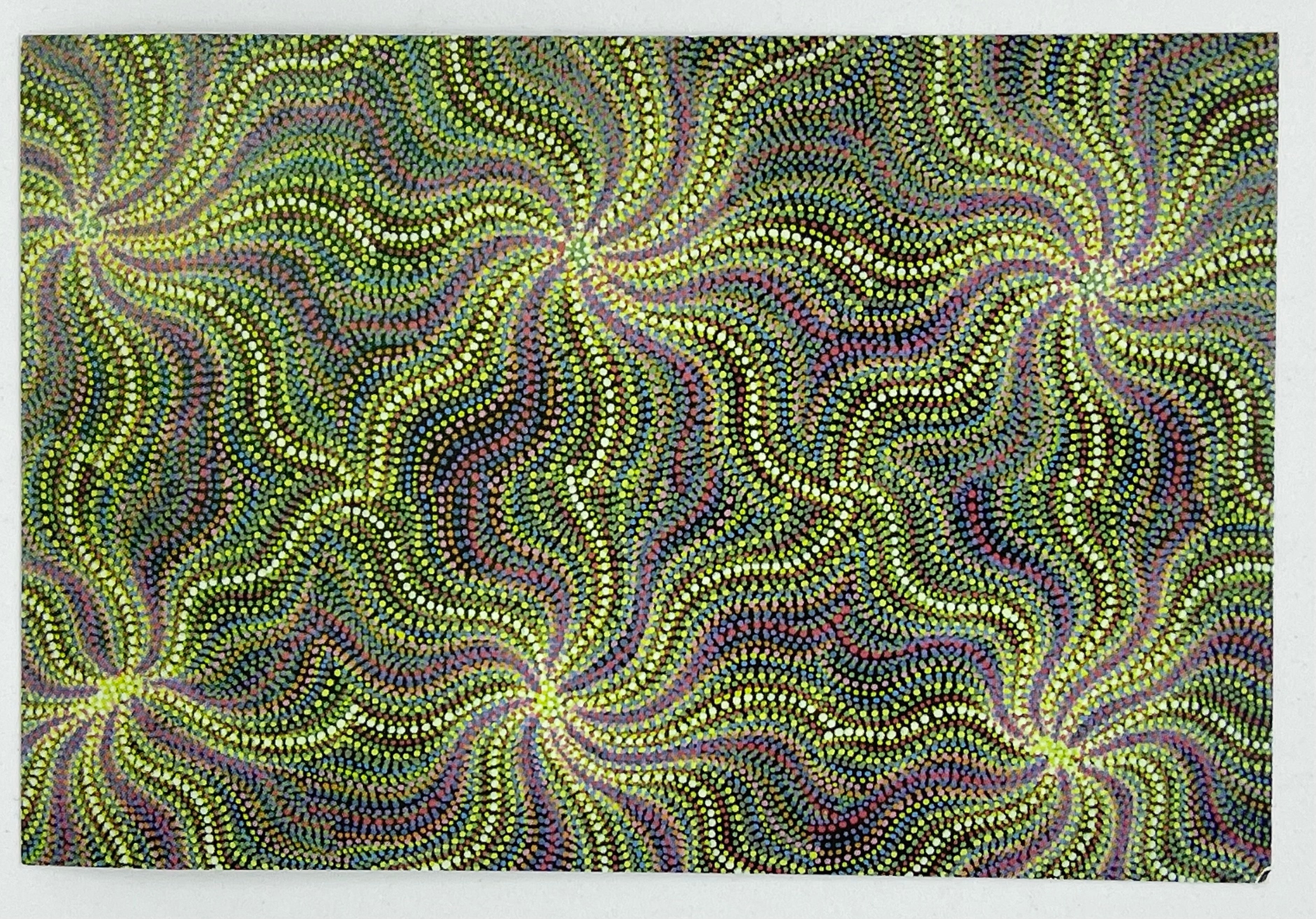 Postcard - Kylie Kemarre