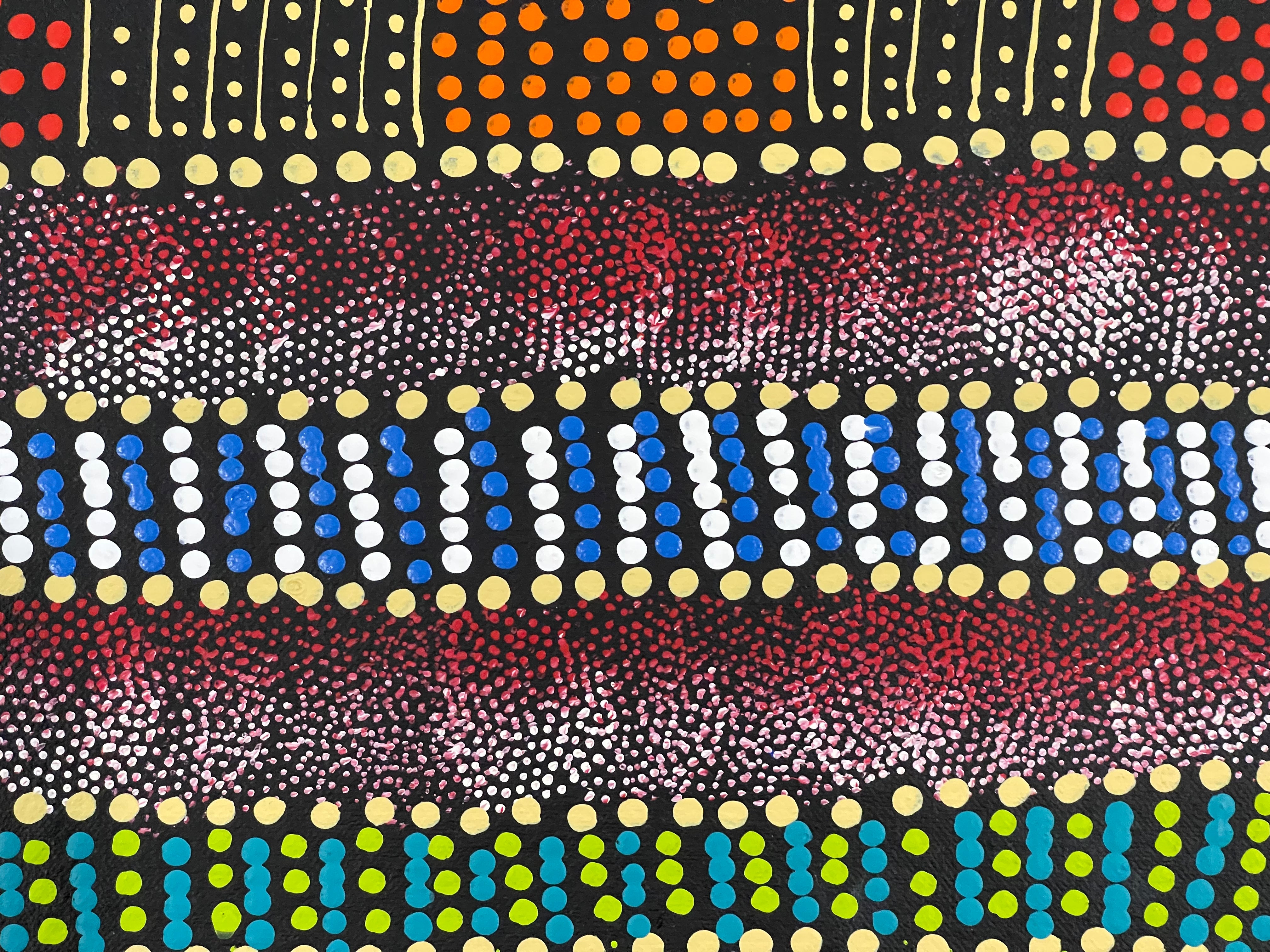 Sharon Turner - Thorny Lizard Dreaming - 94x56cm .67-2