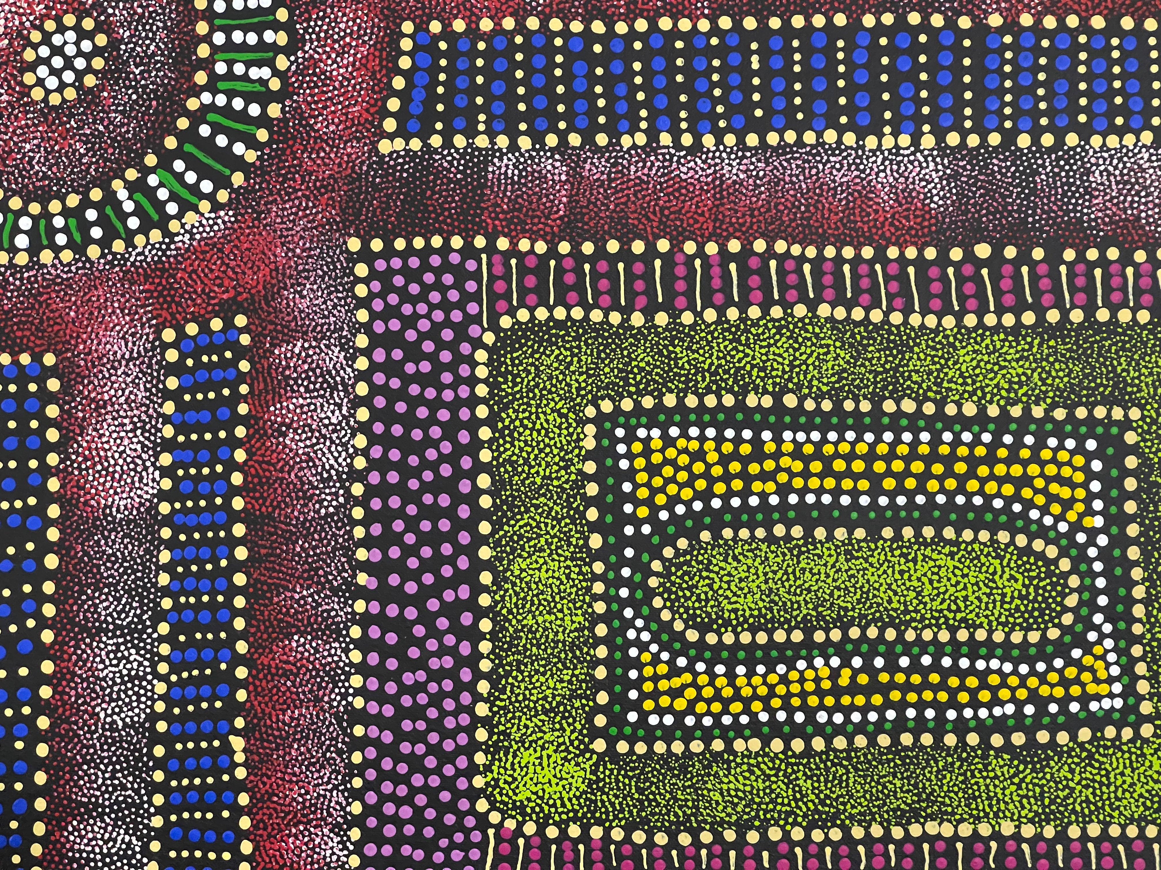 Sharon Turner - Thorny Lizard Dreaming - 94x56cm .67-2