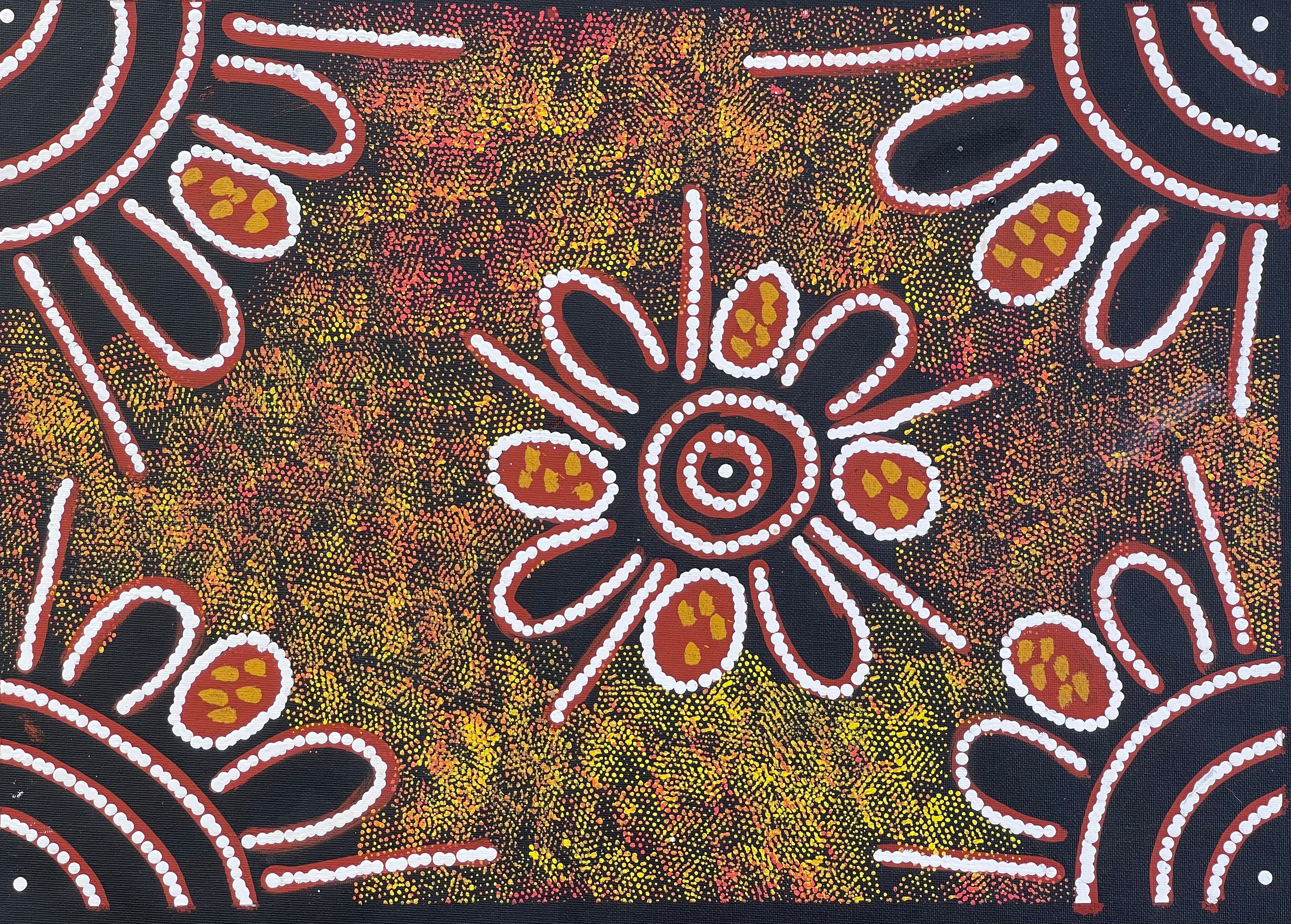 Barbara Pananka - Women's Collecting Bush Tomatoes .38-4