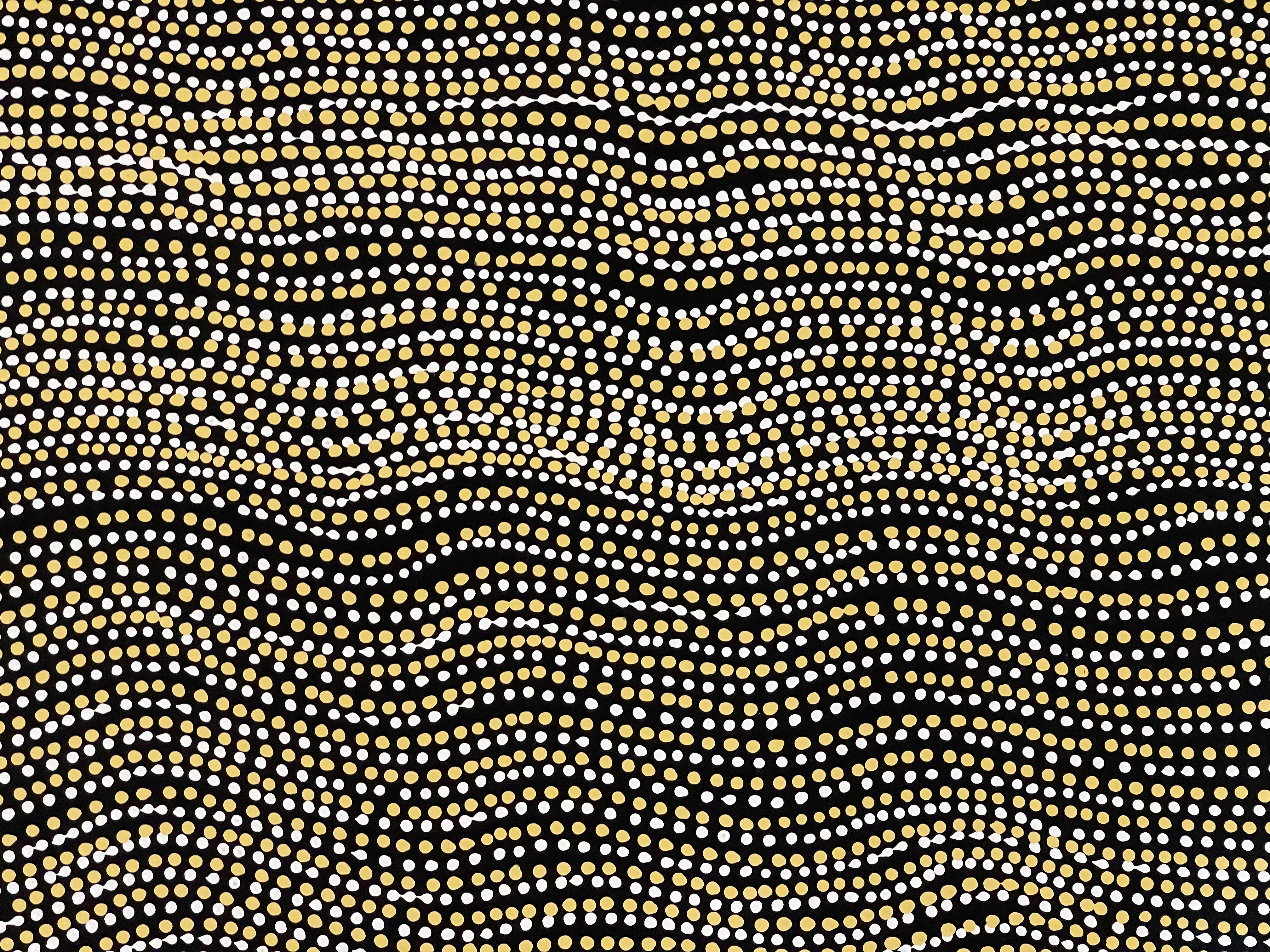 Lanita Numina - Brown Dingo Dreaming - 70x94cm .86-1
