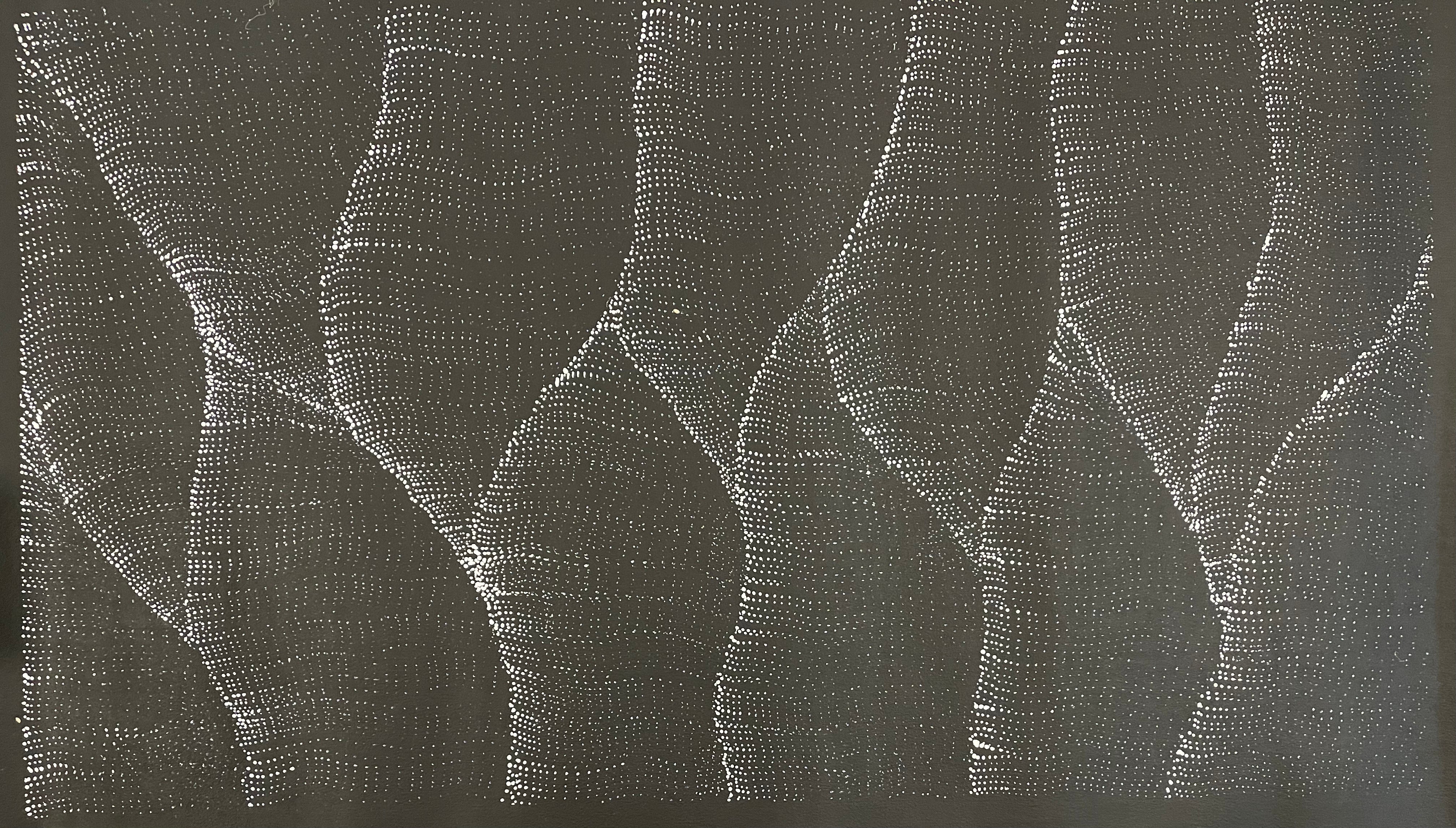 Debbie Napaljarri Brown - Sandhill Dreaming