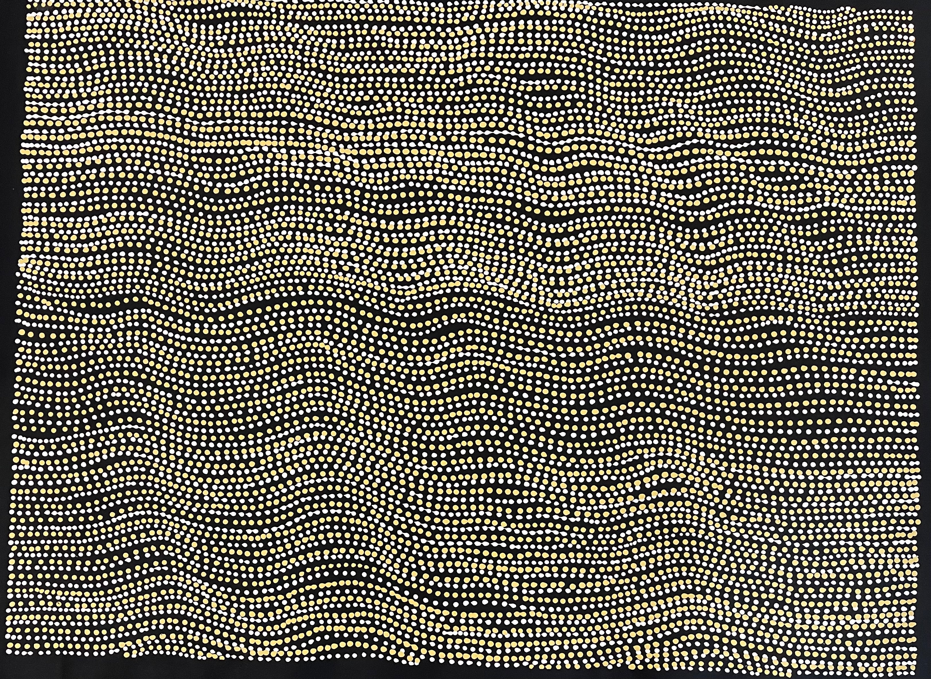 Lanita Numina - Brown Dingo Dreaming - 70x94cm .86-1