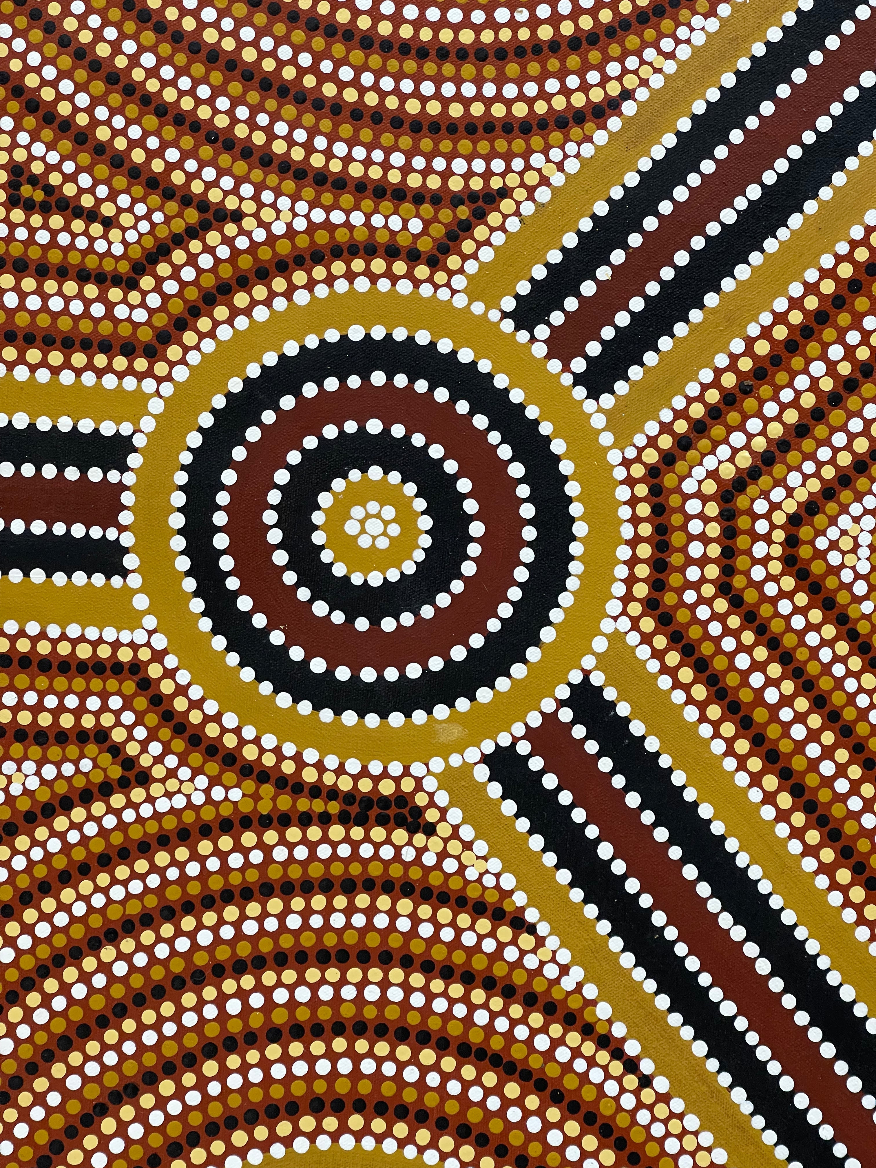 Daniel Pula Turner - Kurrajong Dreaming - 110x110cm .24-1