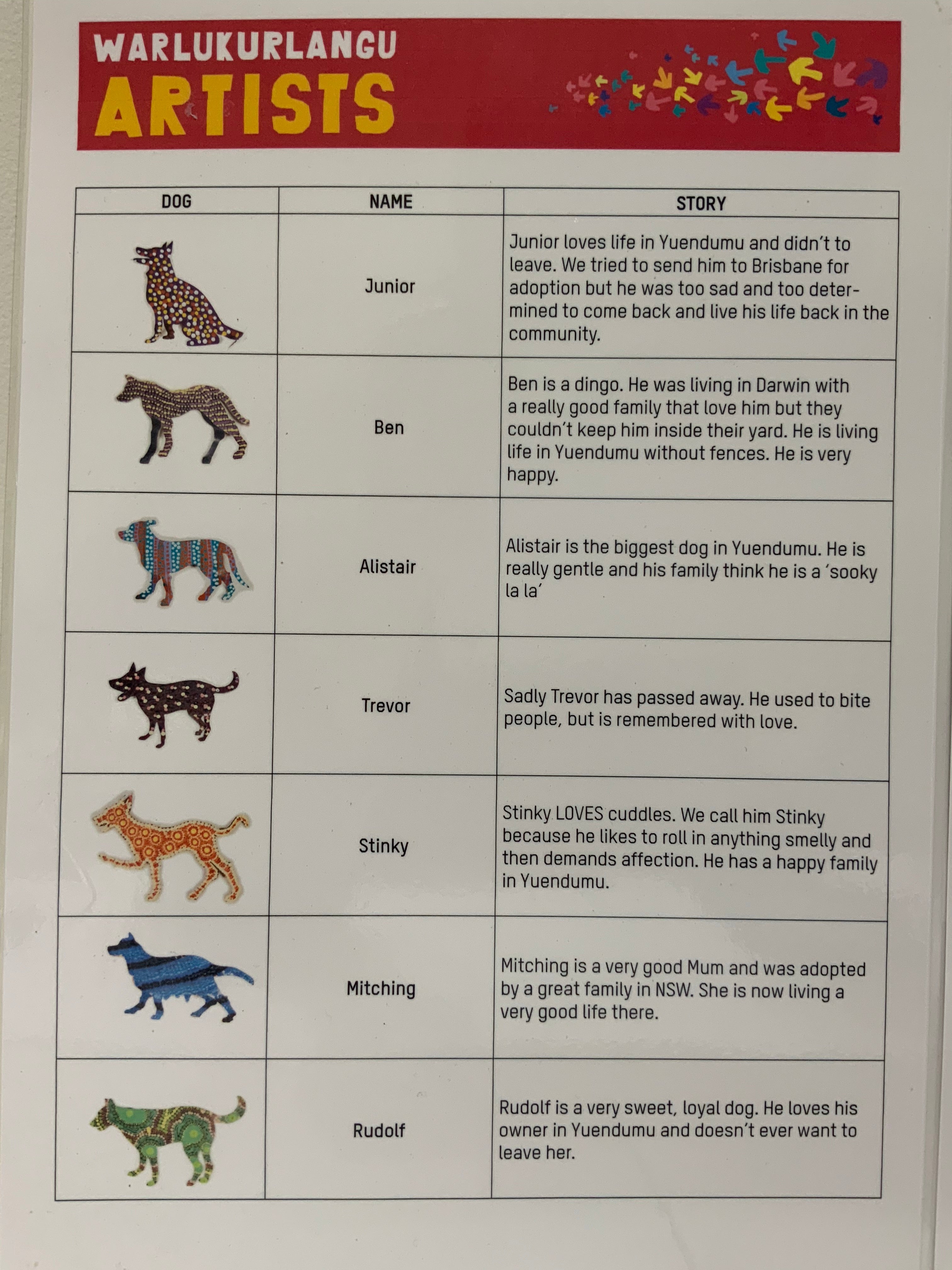 Aussie Desert Dog - Trevor