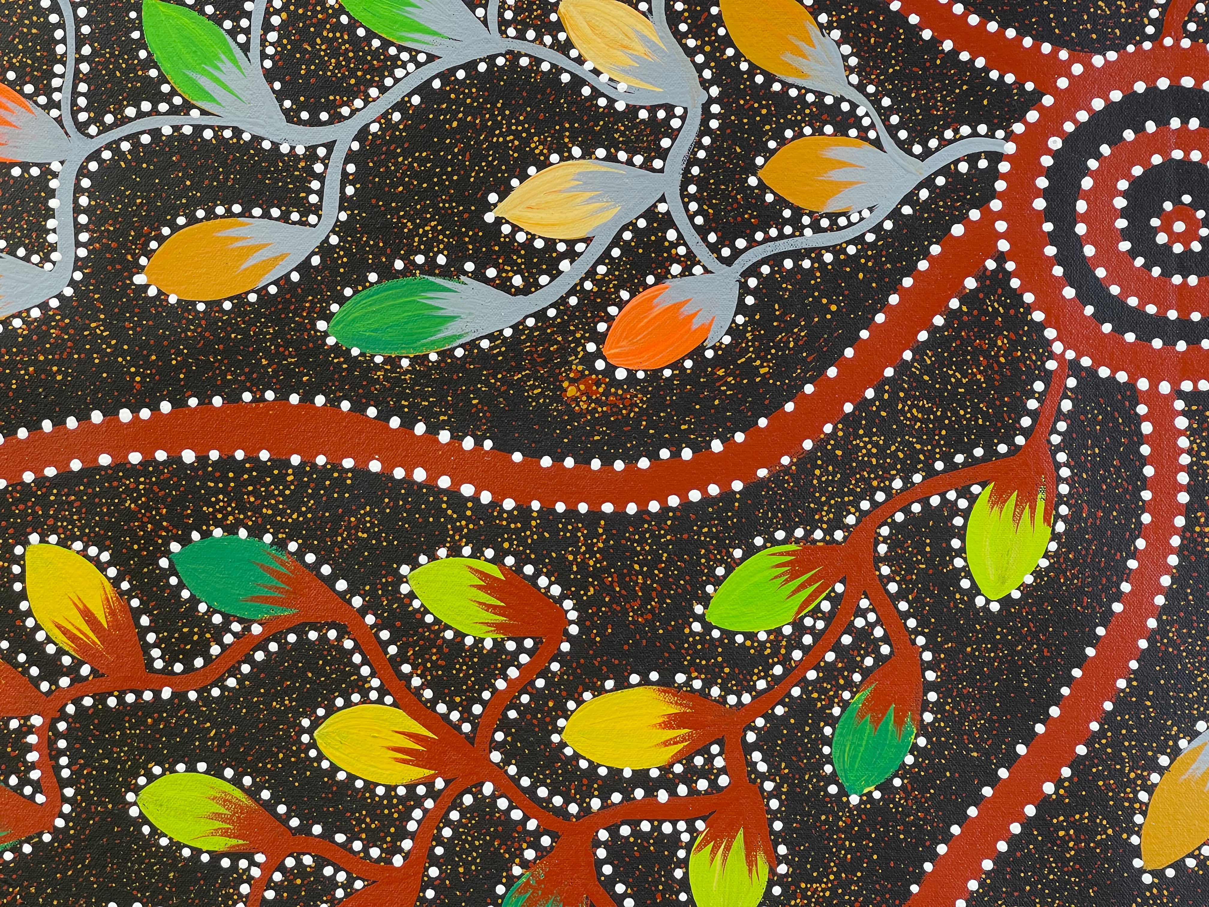 Jacinta Numina Waugh - Bush Plums, Bush Tomatoes and Desert Raison .84-3