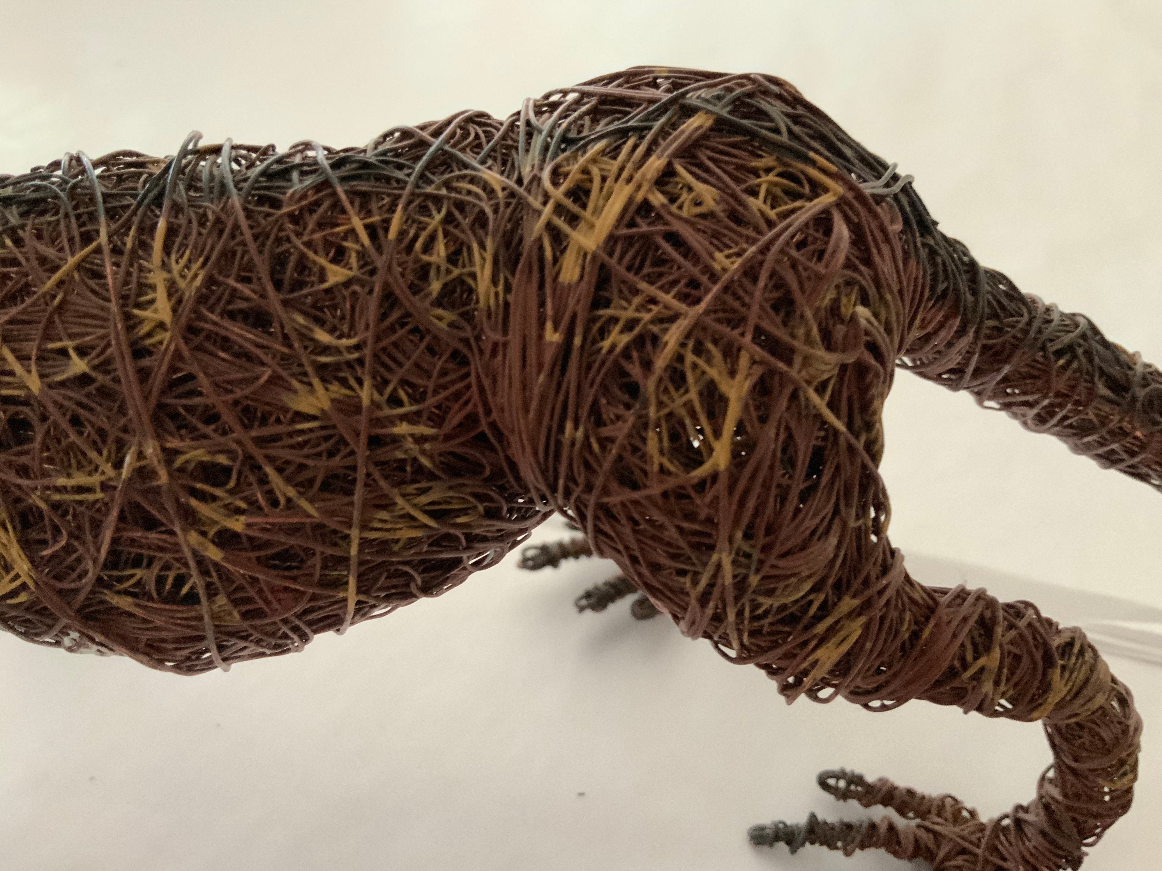 Wire Lizard – Johnny Young