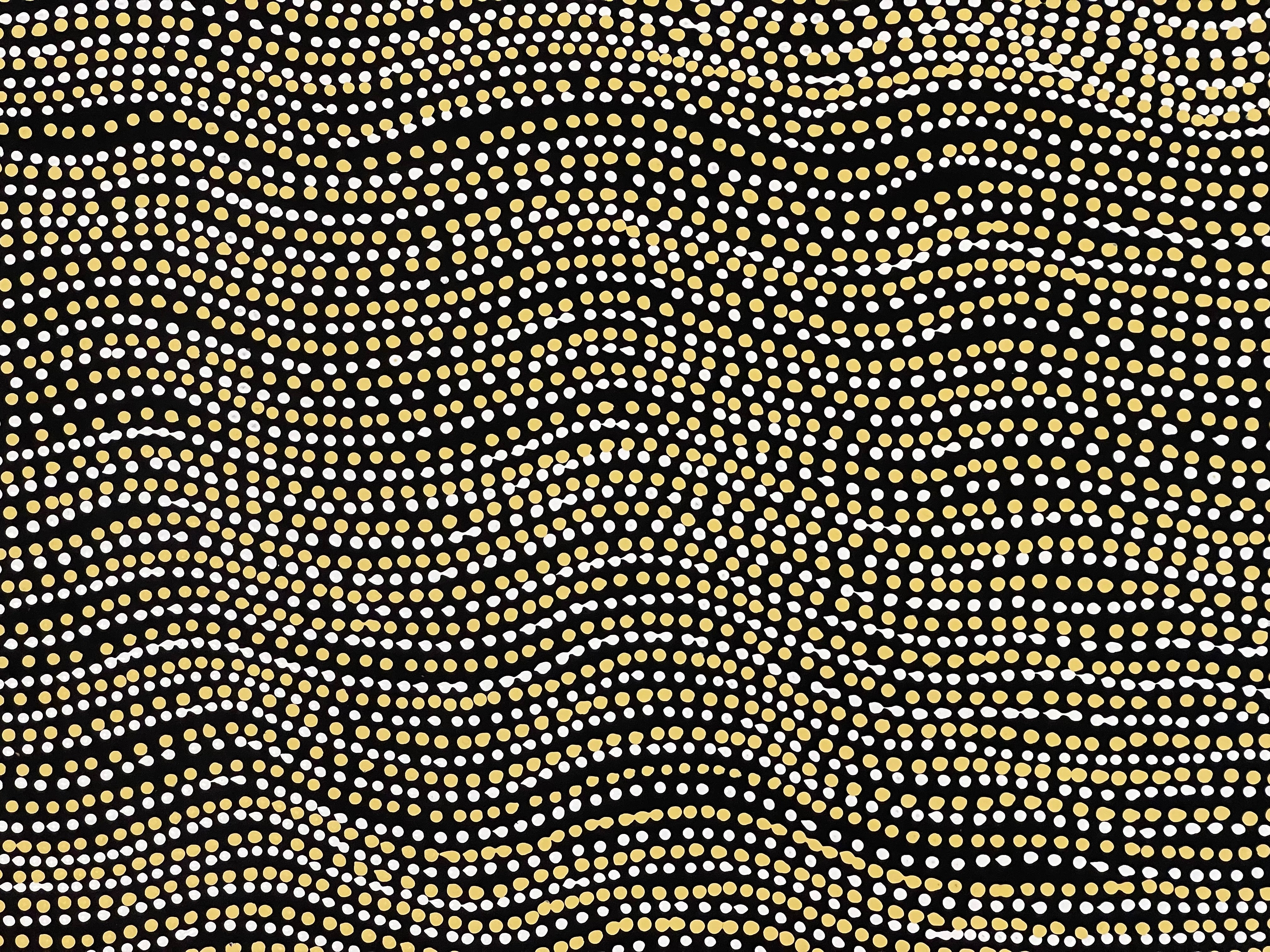 Lanita Numina - Brown Dingo Dreaming - 70x94cm .86-1