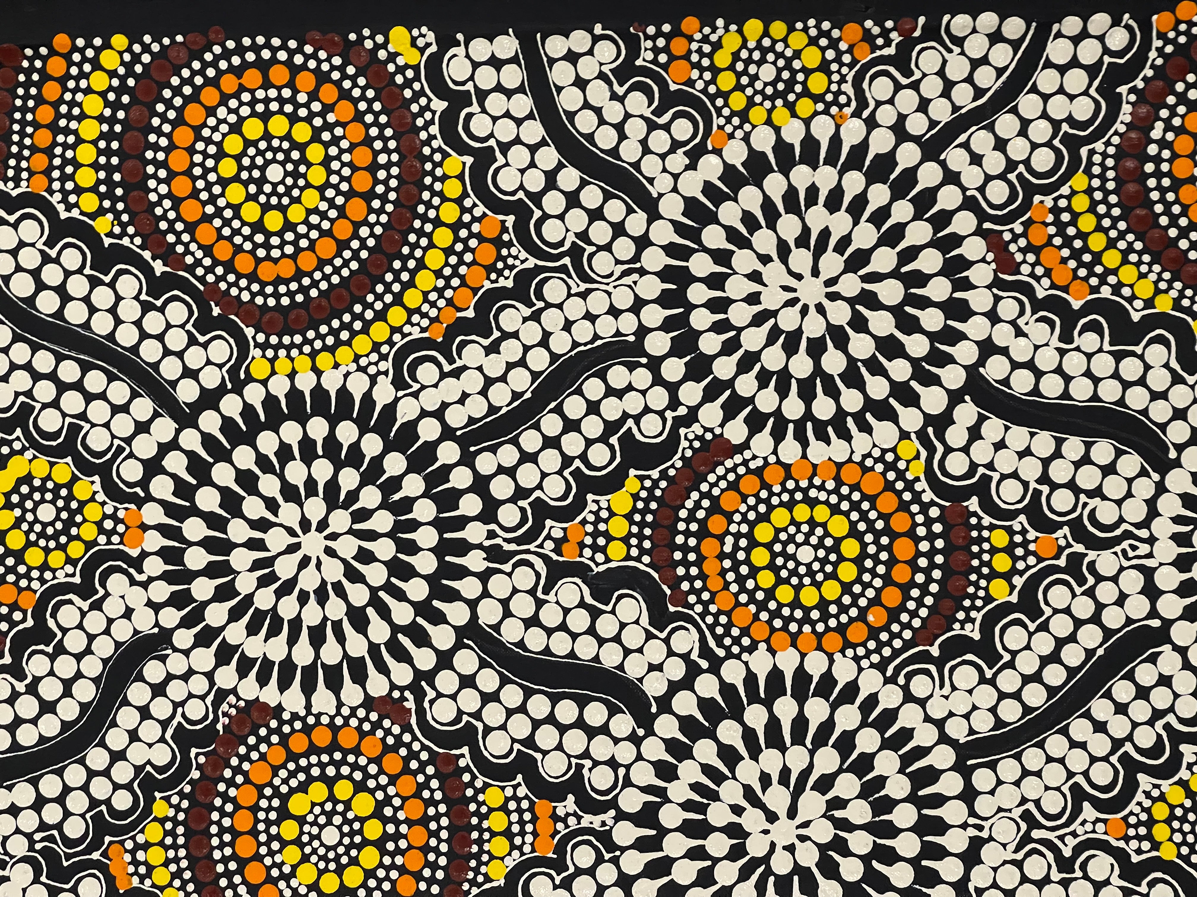 Marjorie Spencer - Bush Onion Dreaming .188