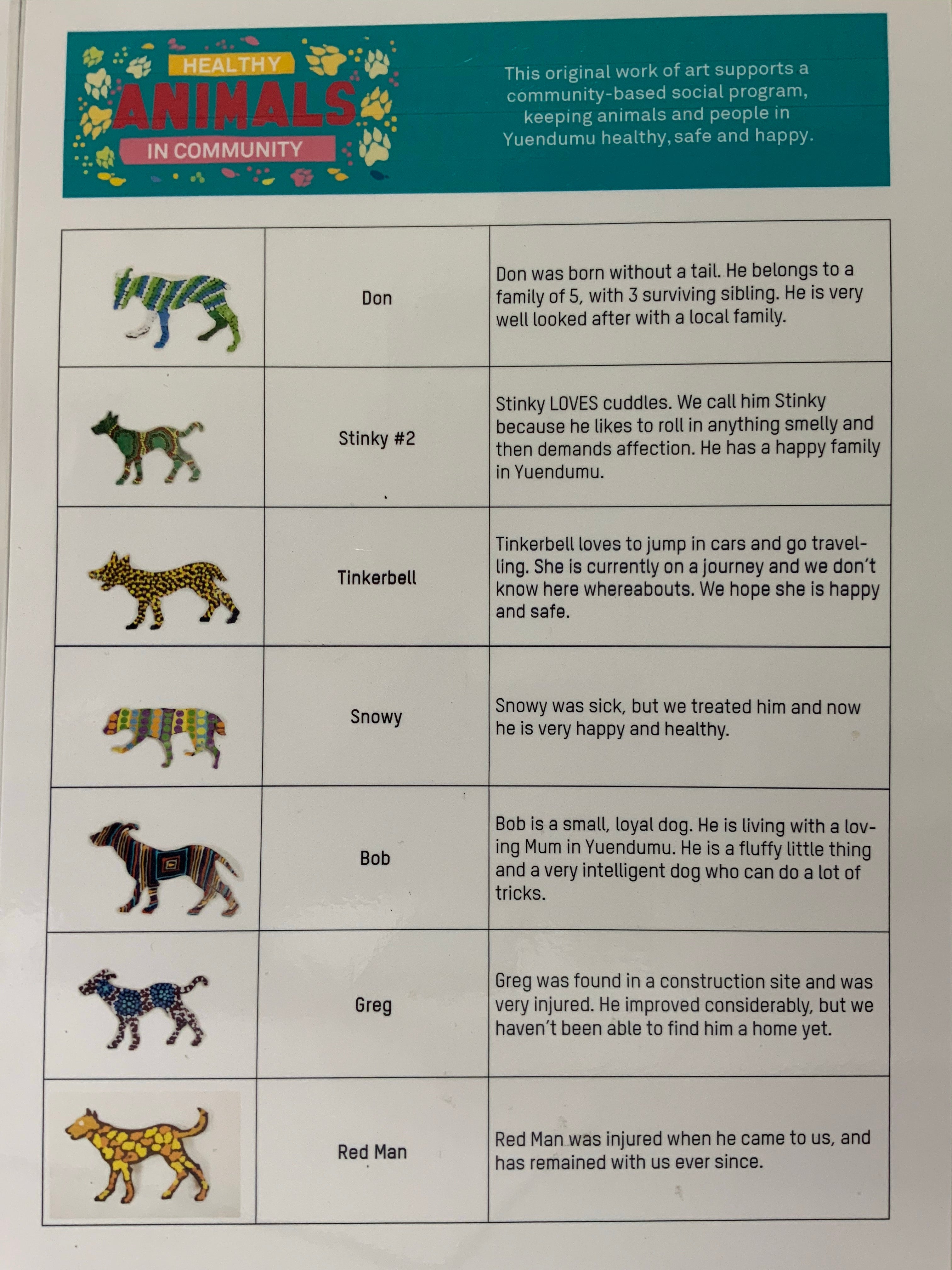 Aussie Desert Dog - Mitching .1