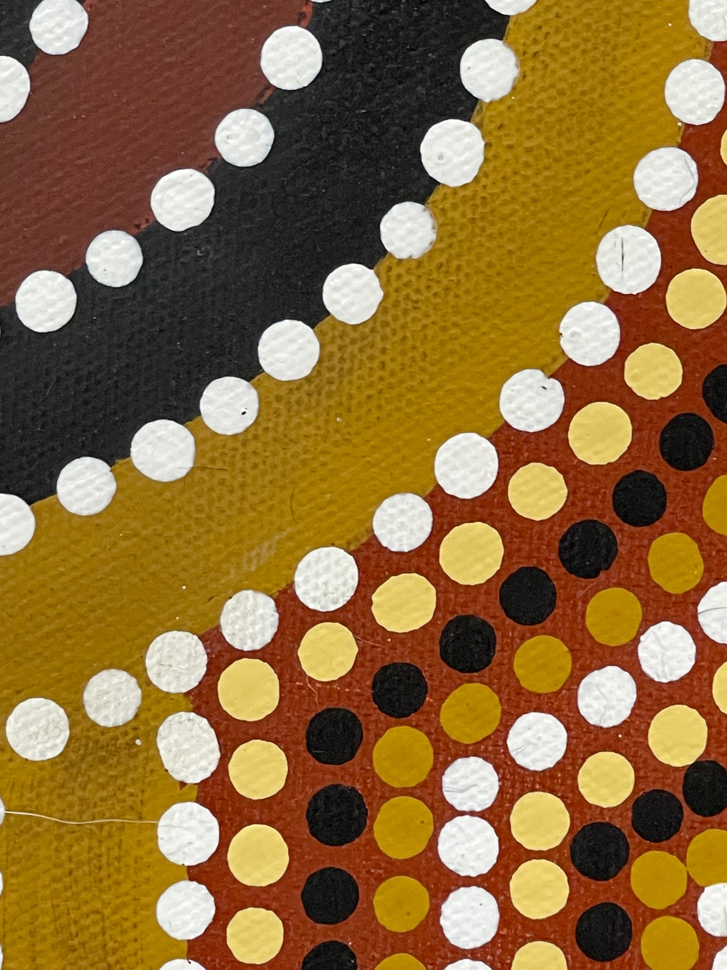 Daniel Pula Turner - Kurrajong Dreaming - 110x110cm .24-1