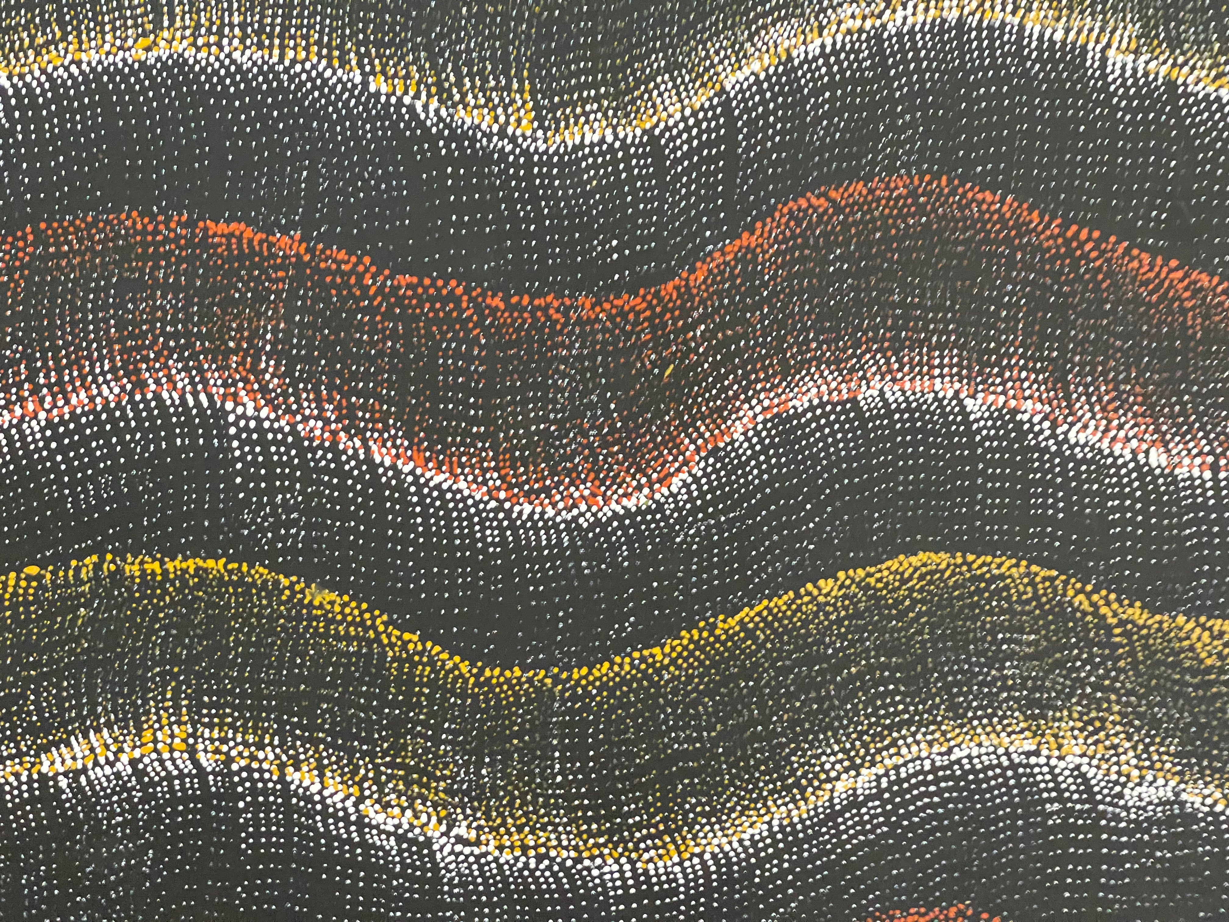 Debbie Nampijinpa Brown -Sand Dunes - 144x96cm .65-2