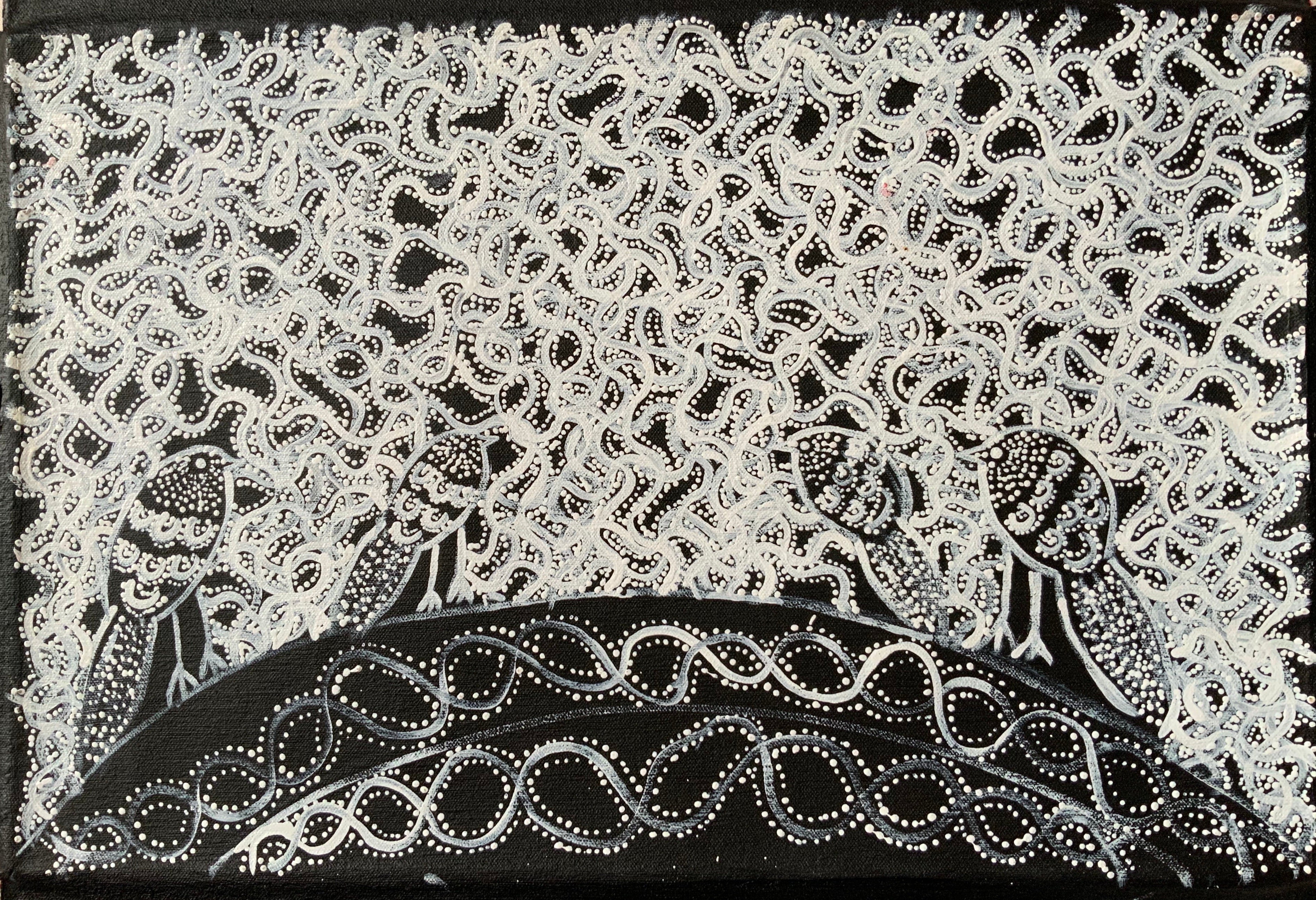 Geraldine Napangardi Granites - 30x46cm - Snake Vine Dreaming