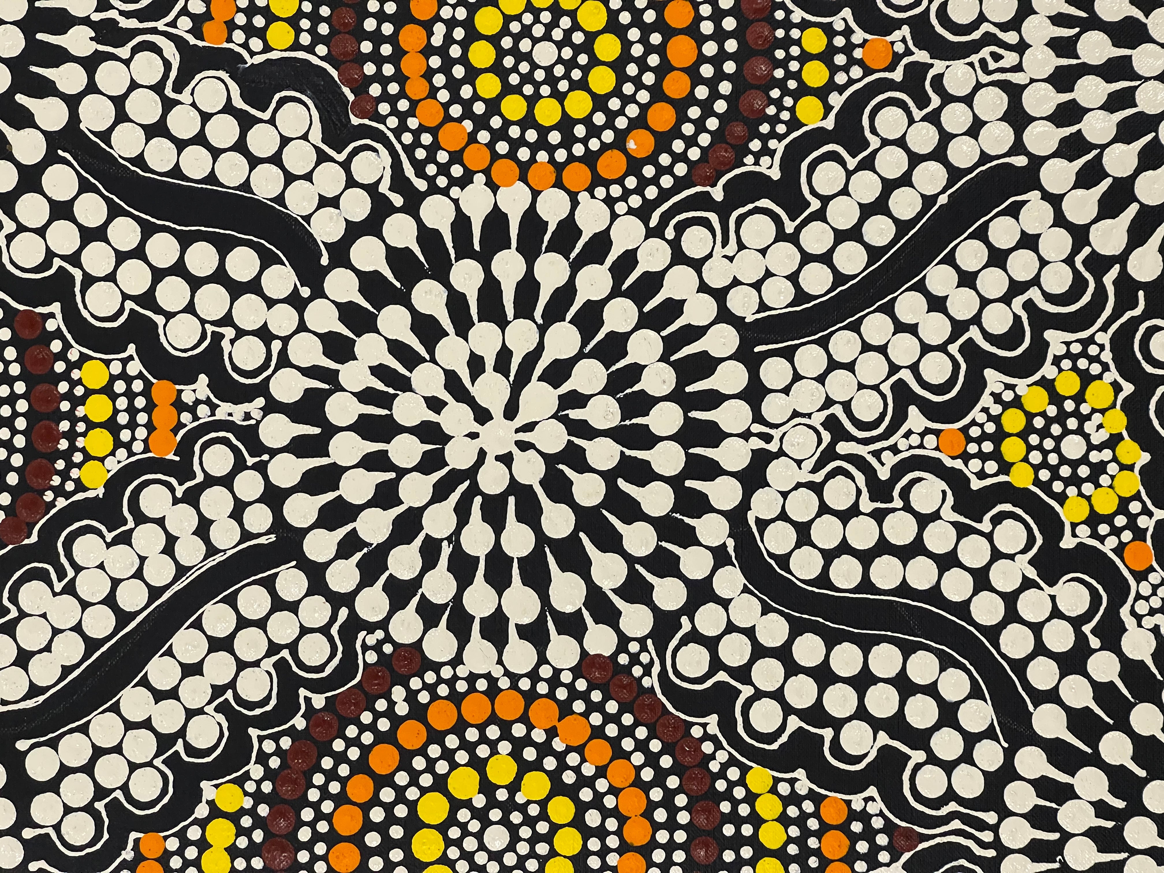 Marjorie Spencer - Bush Onion Dreaming .188