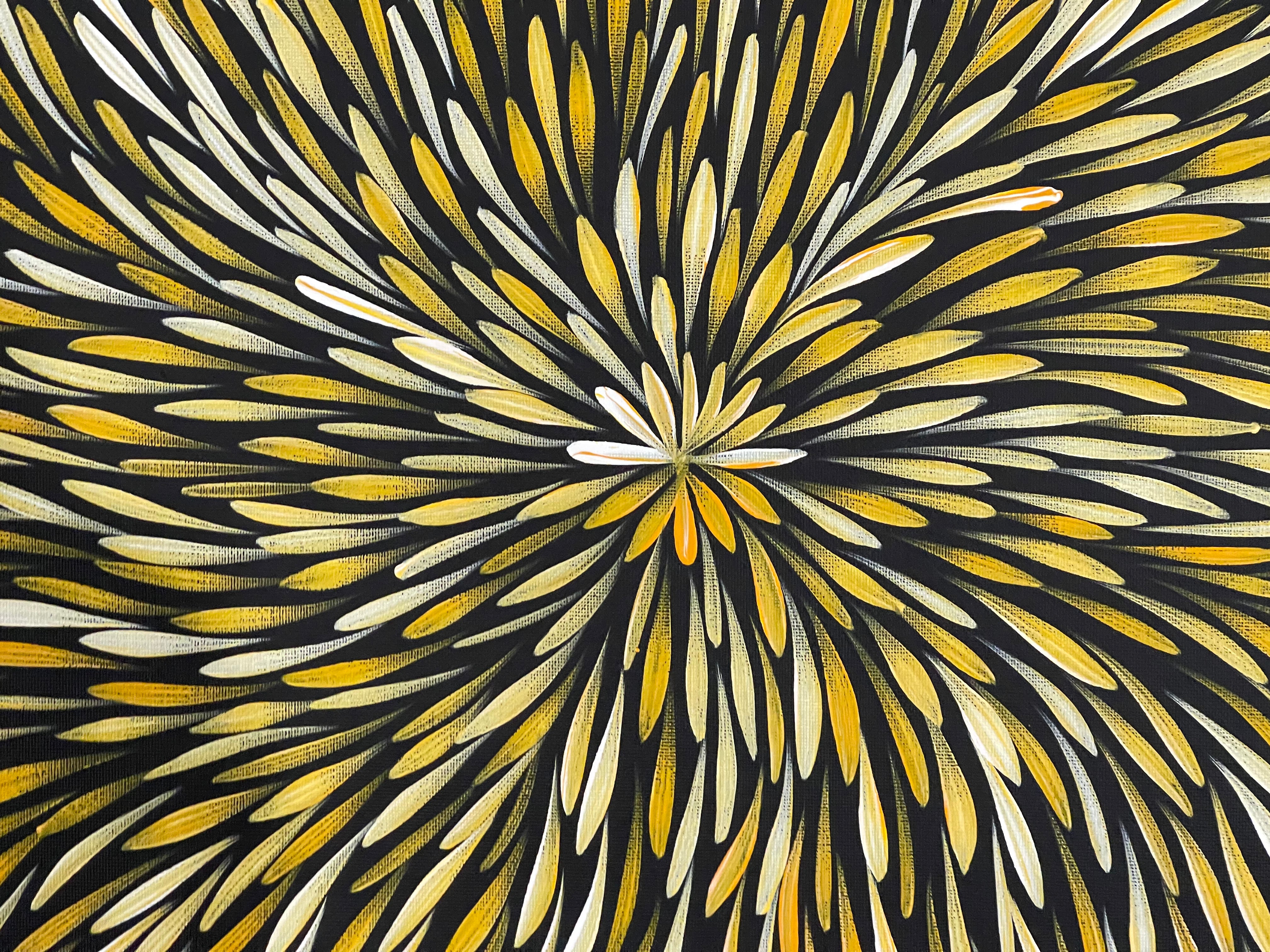 Sharon Numina - Bush Medicine Leaves .40-25