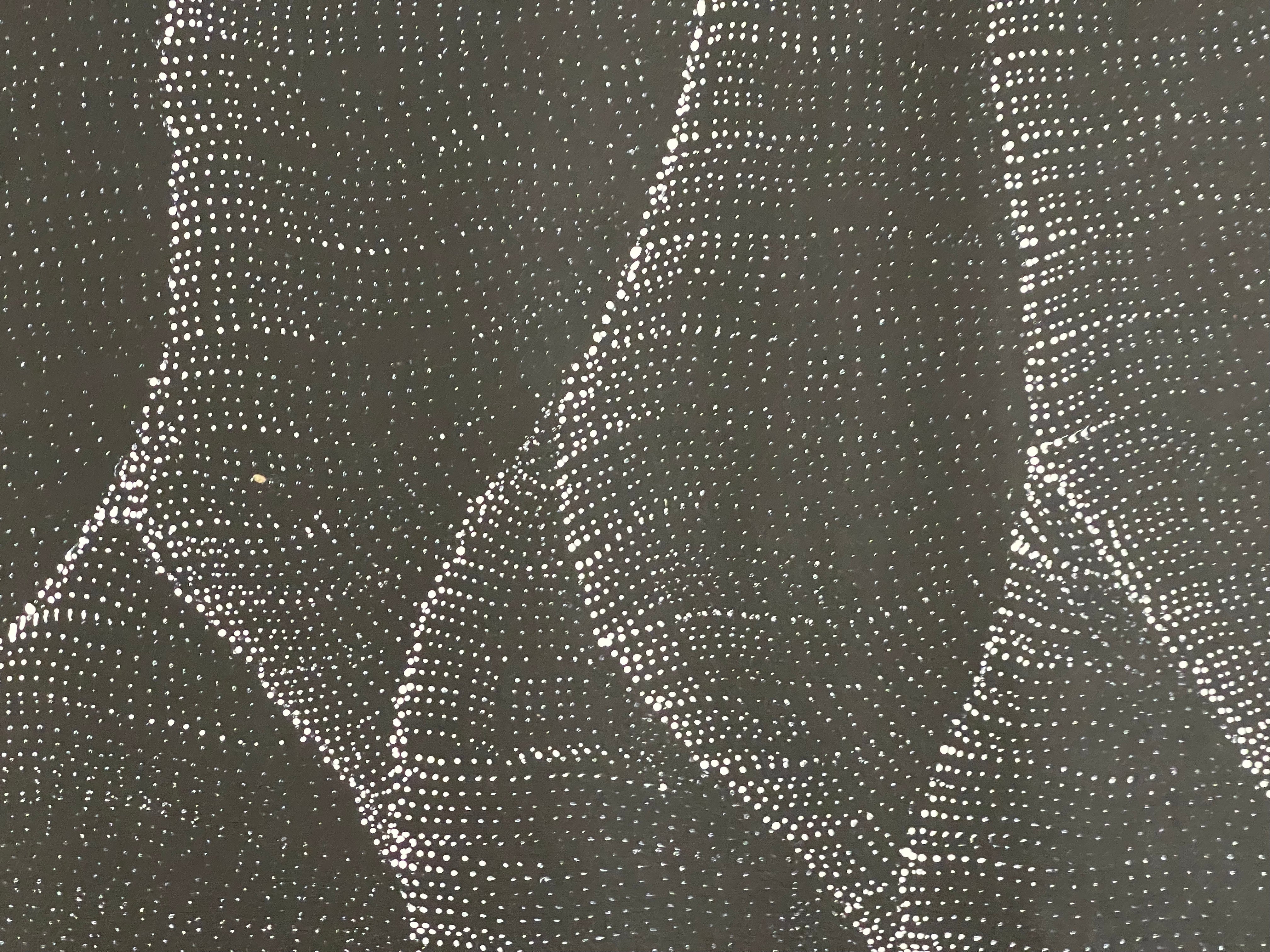 Debbie Napaljarri Brown - Sandhill Dreaming