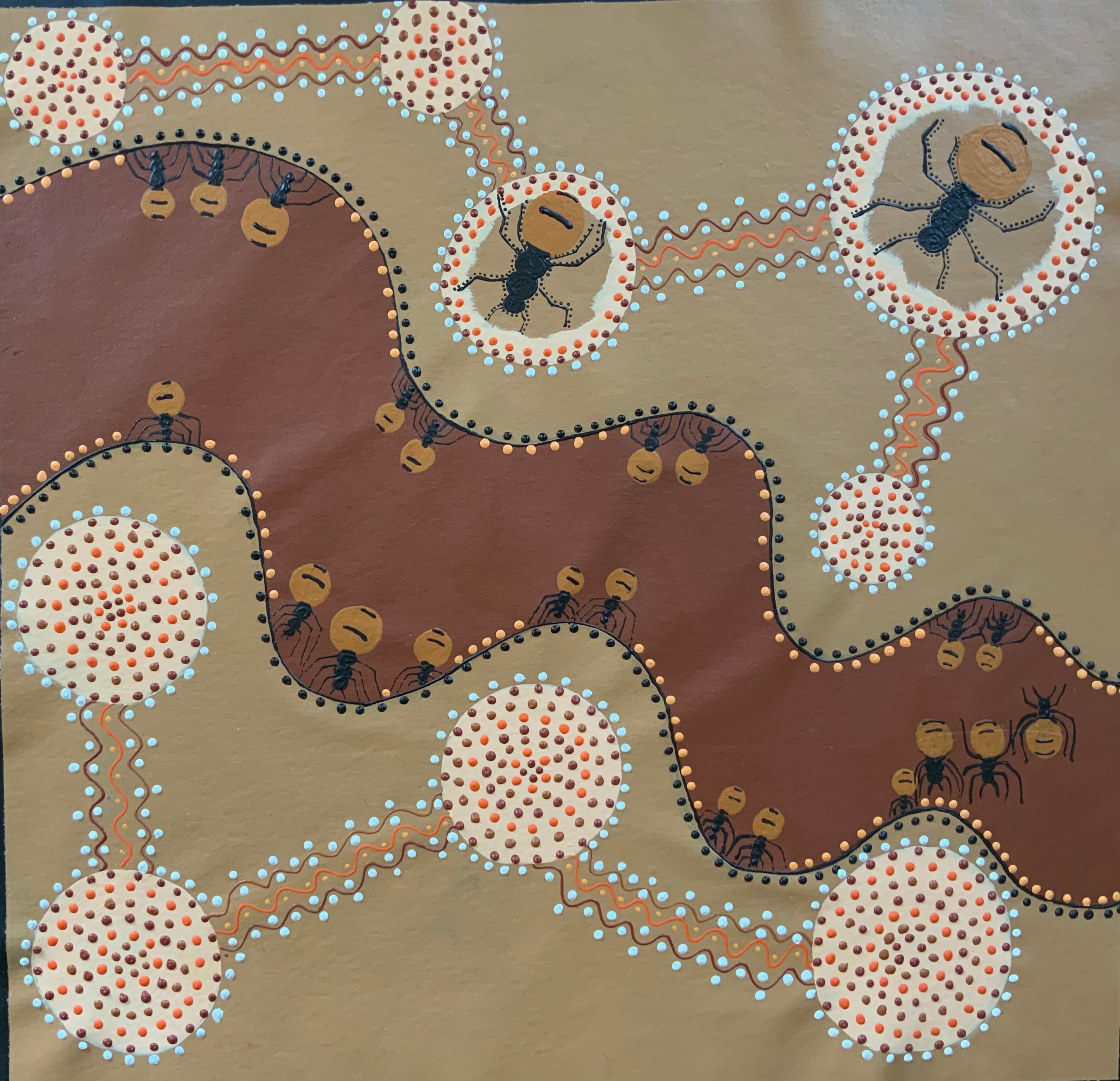 Deidre Rosier - Honey Ants - 58x60cm