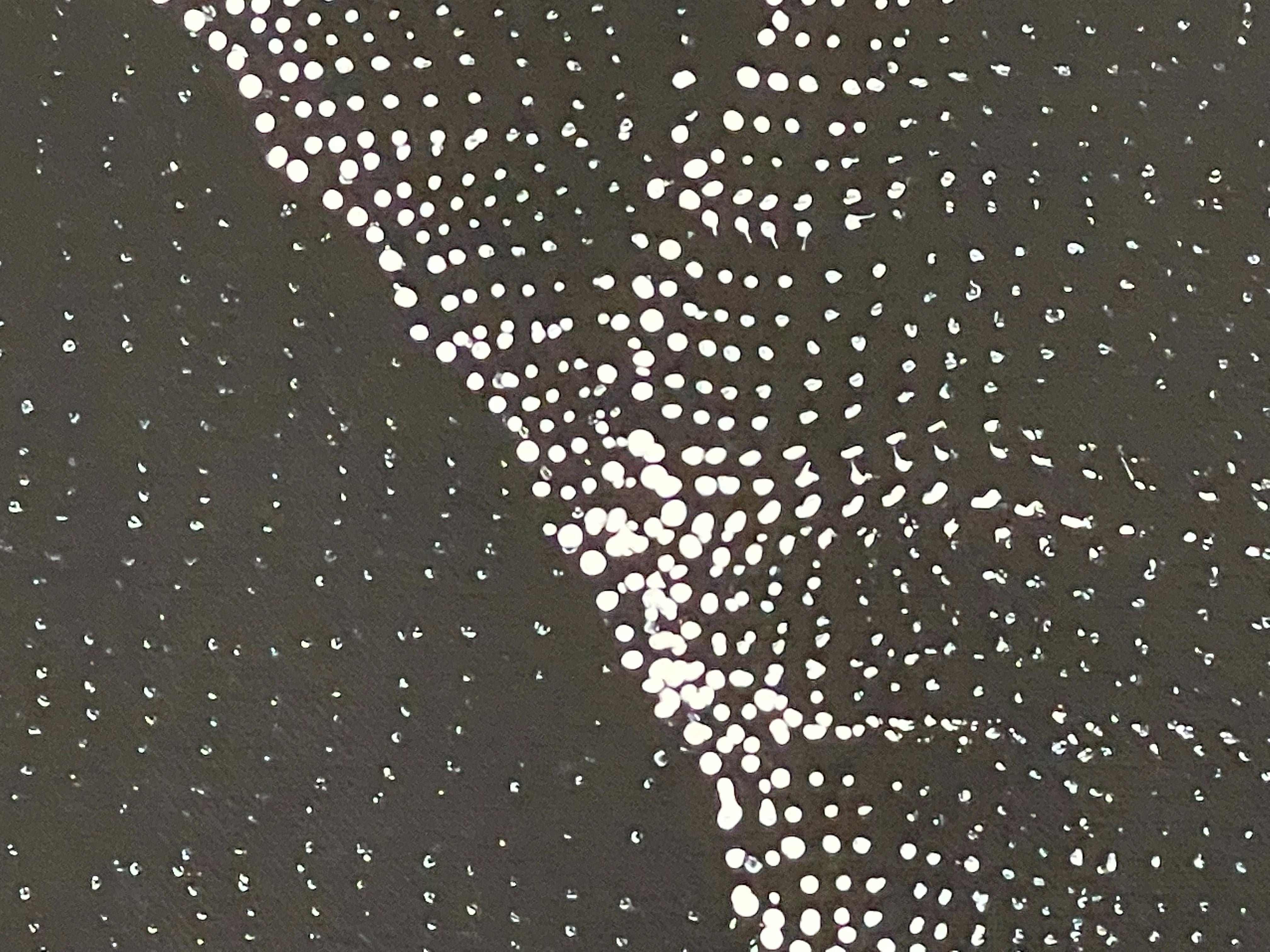 Debbie Napaljarri Brown - Sandhill Dreaming