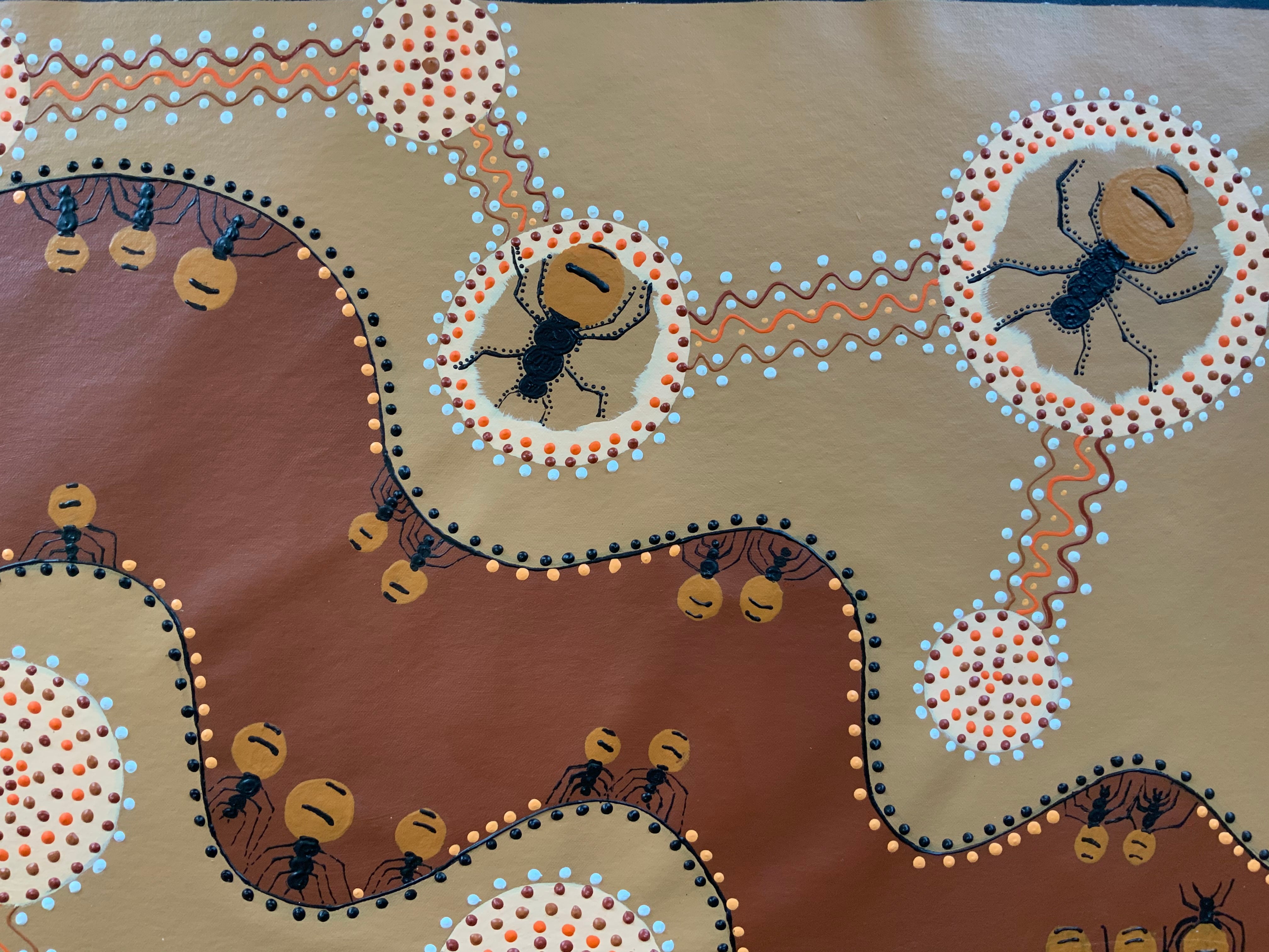 Deidre Rosier - Honey Ants - 58x60cm