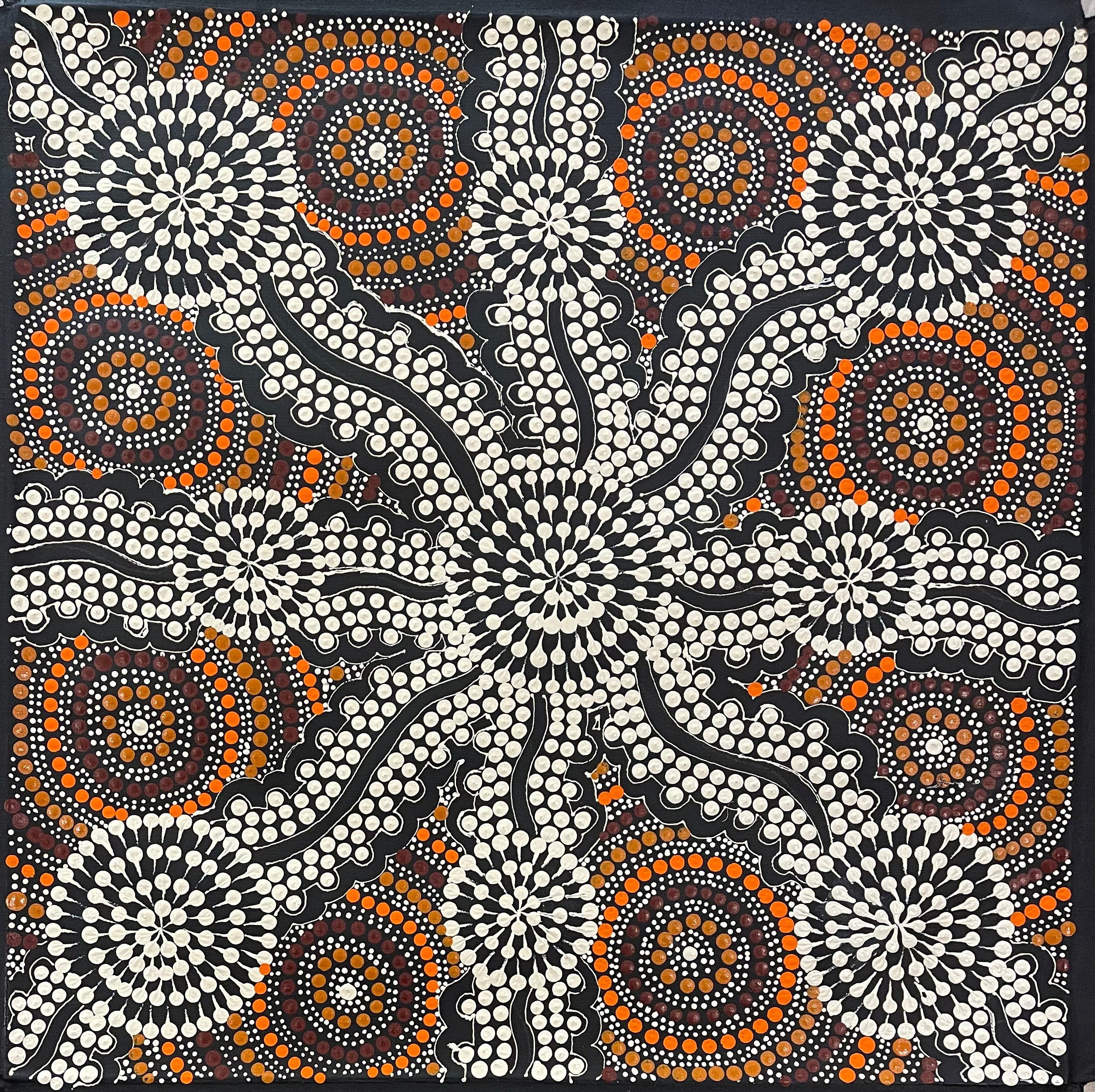 Marjorie Spencer - Bush Onion Dreaming .08