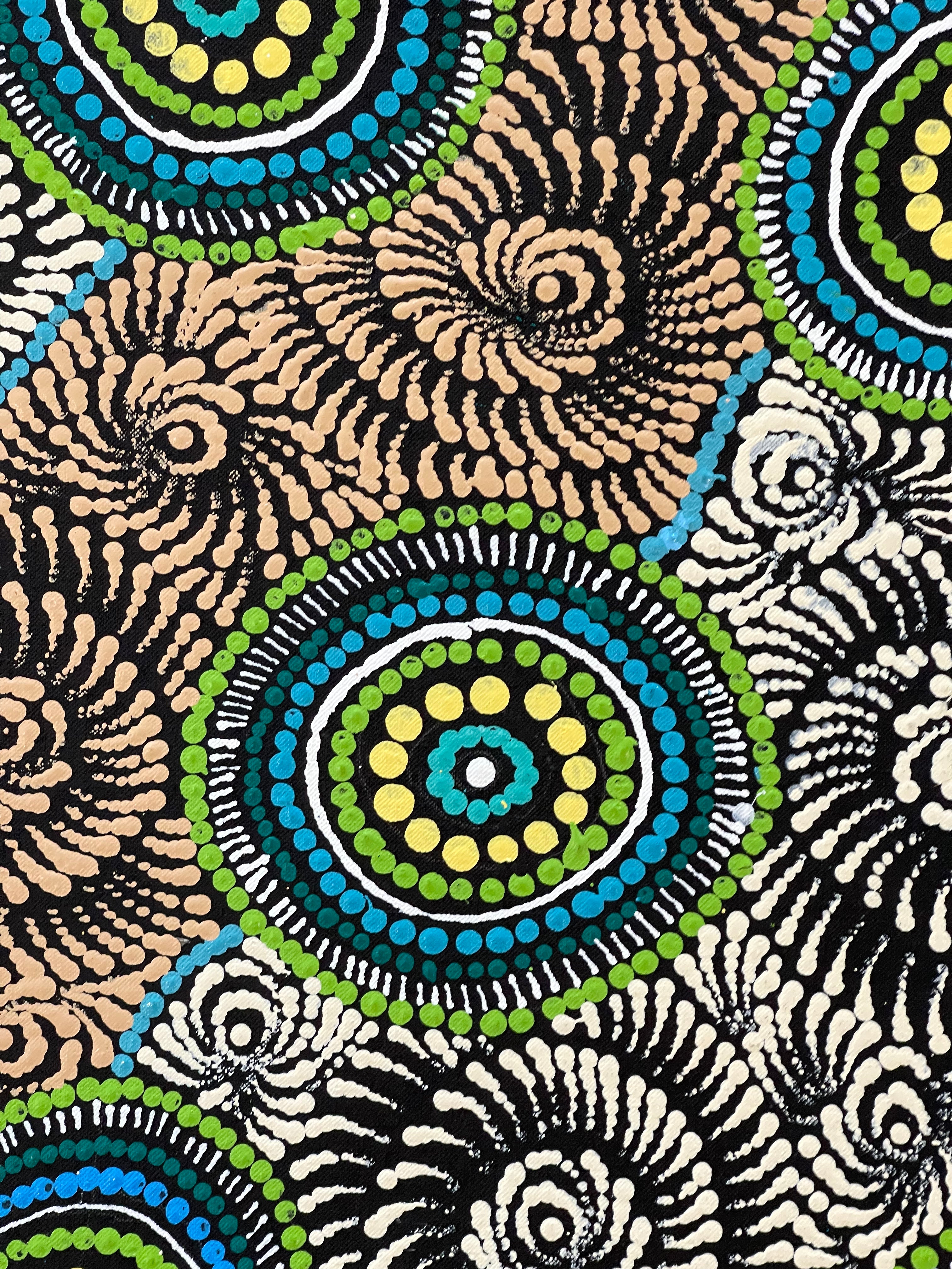 Maria Nampijinpa Brown - Pamapardu Jukurrpa (Flying Ant Dreaming)