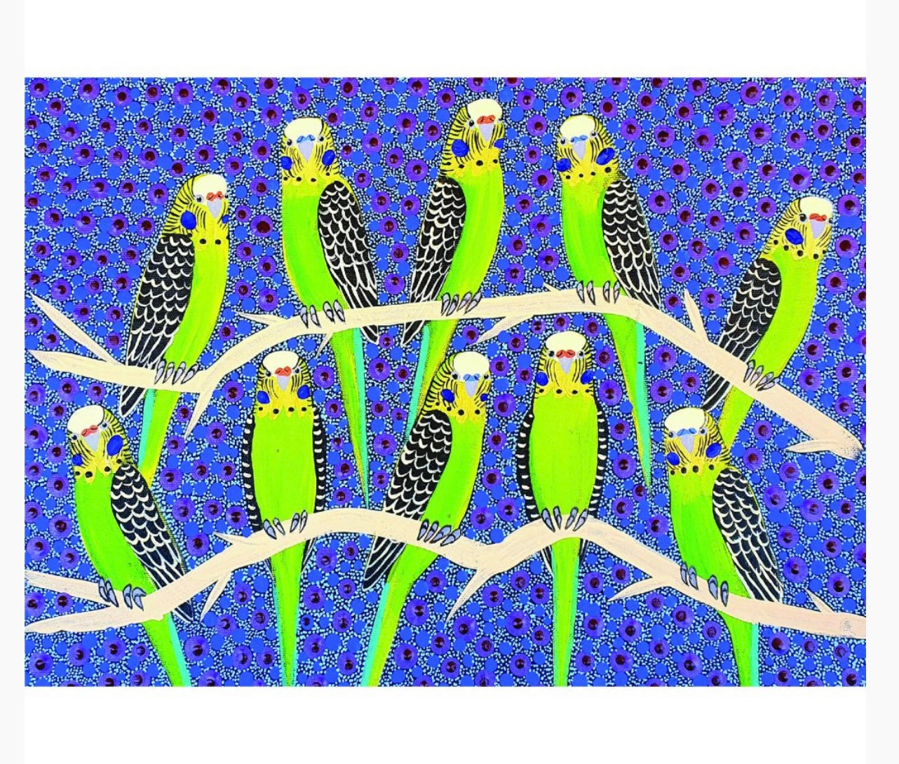 Greeting Card - Kathleen Buzzacott - Wild Budgerigar