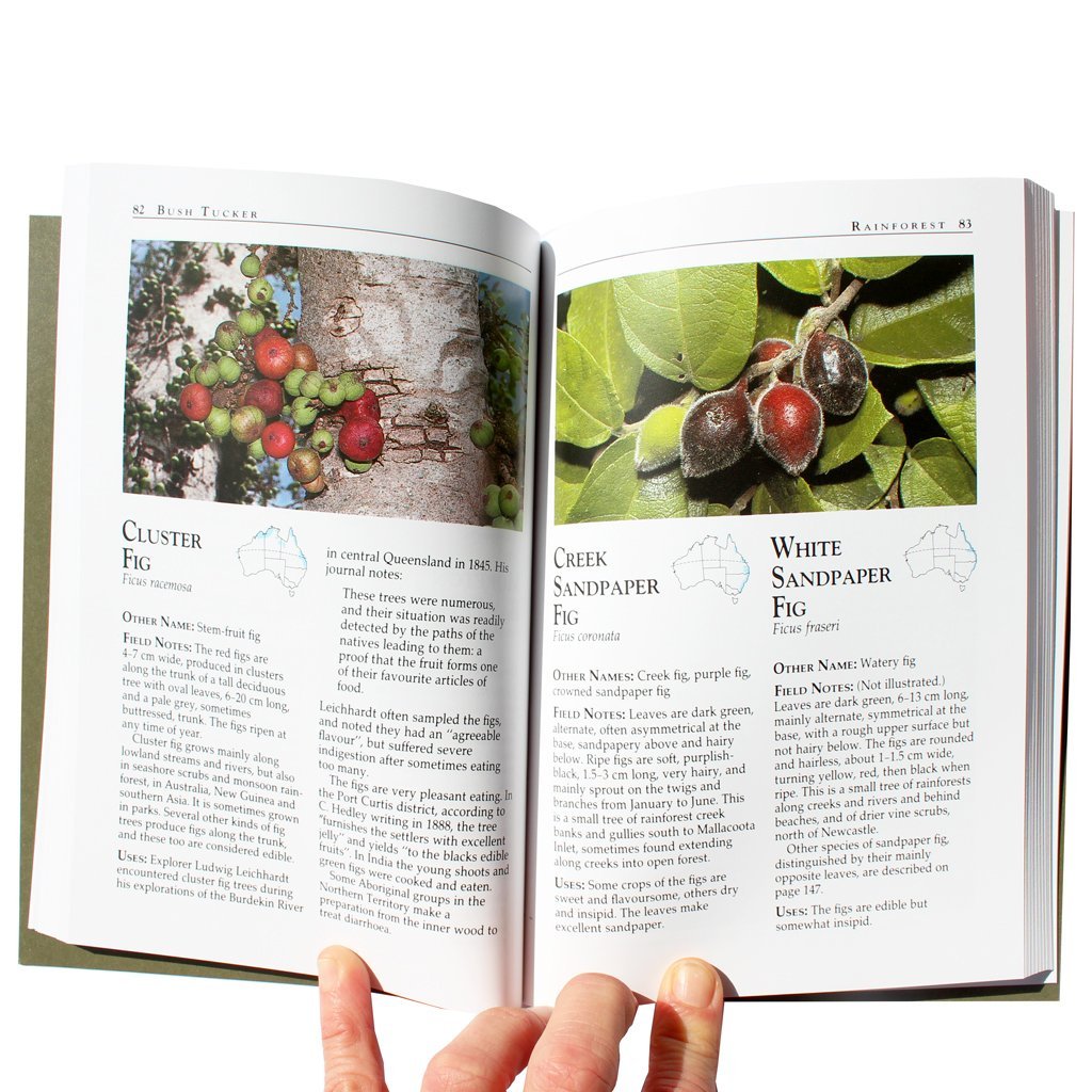 Wild Food Plants of Australia - Tim Low