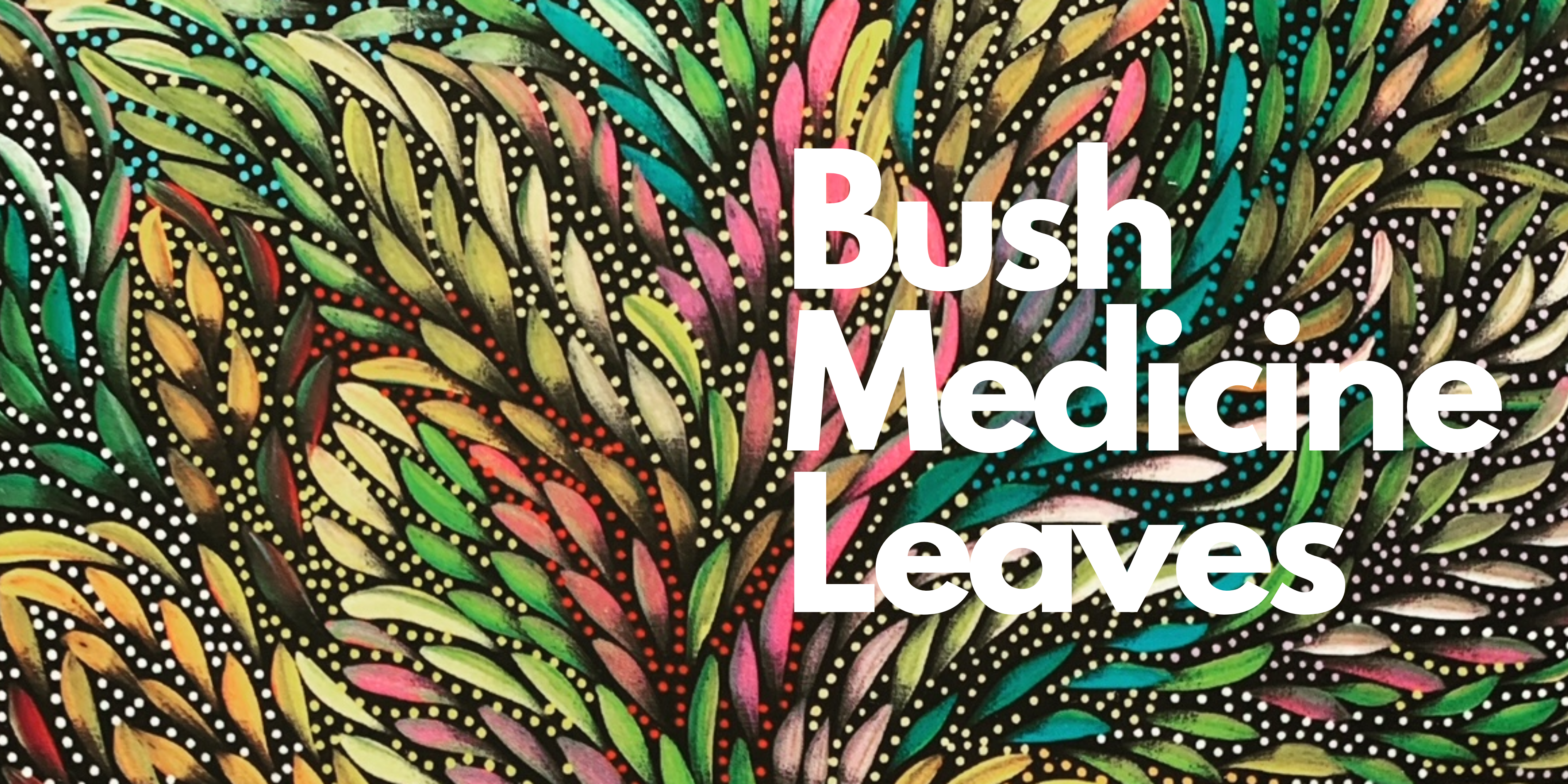 Bush Medicine Leaves