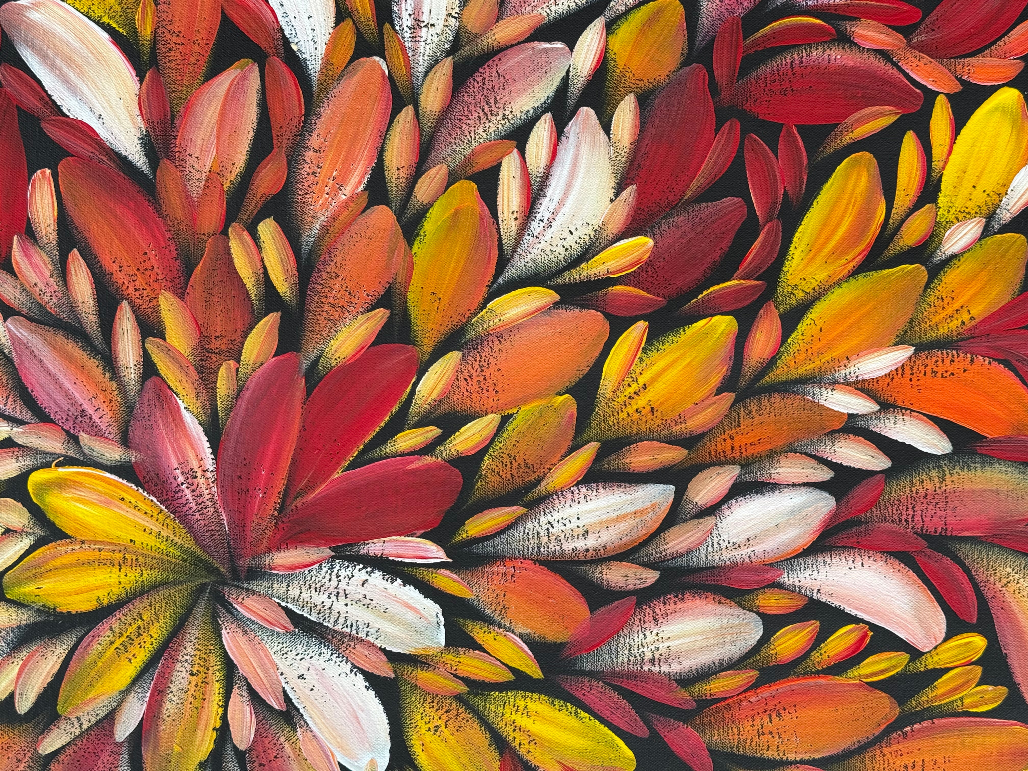 Louise Numina Napananka - Bush Medicine Leaves .75-15