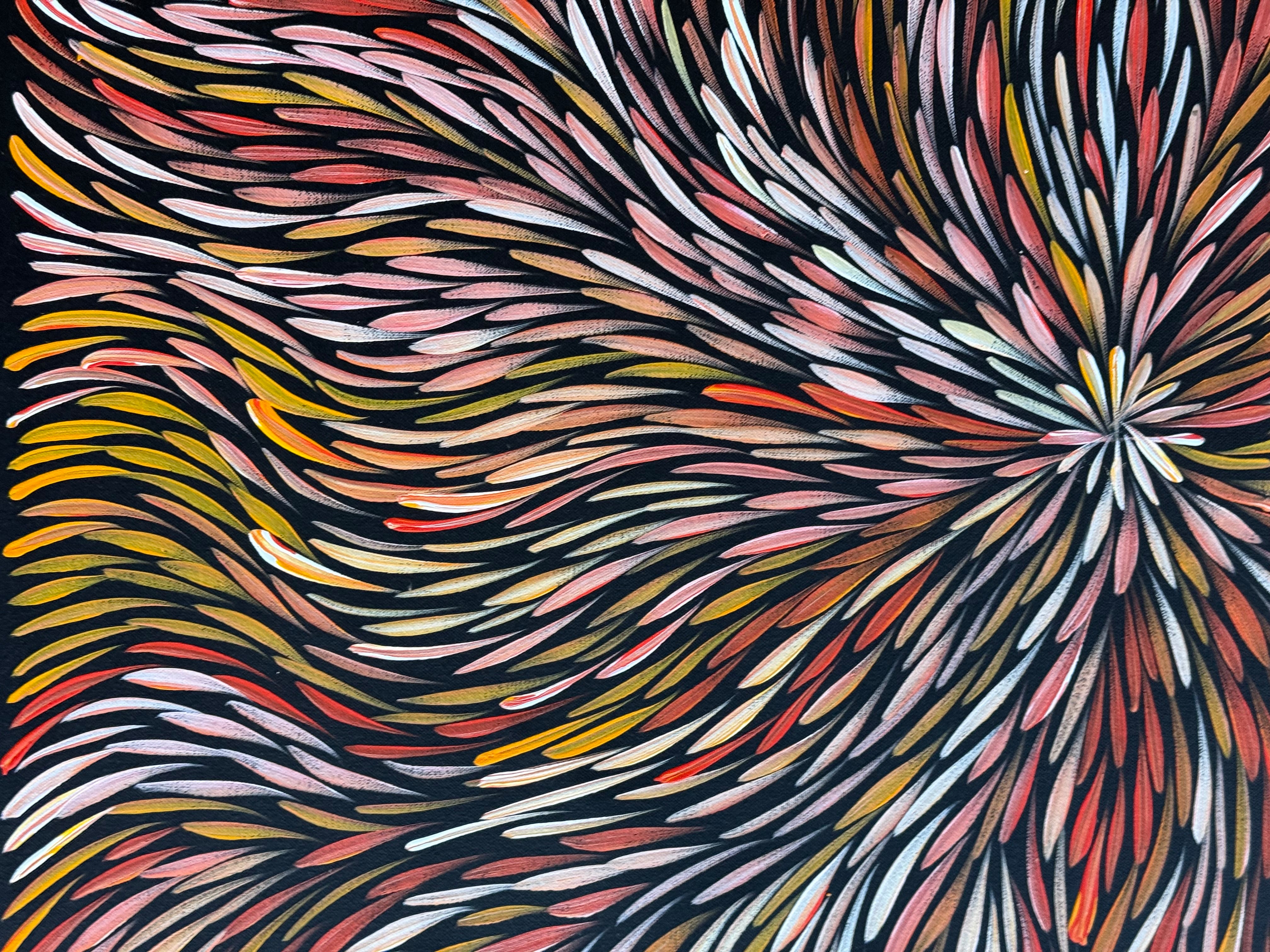 Sharon Numina - Bush Medicine Leaves .50-11