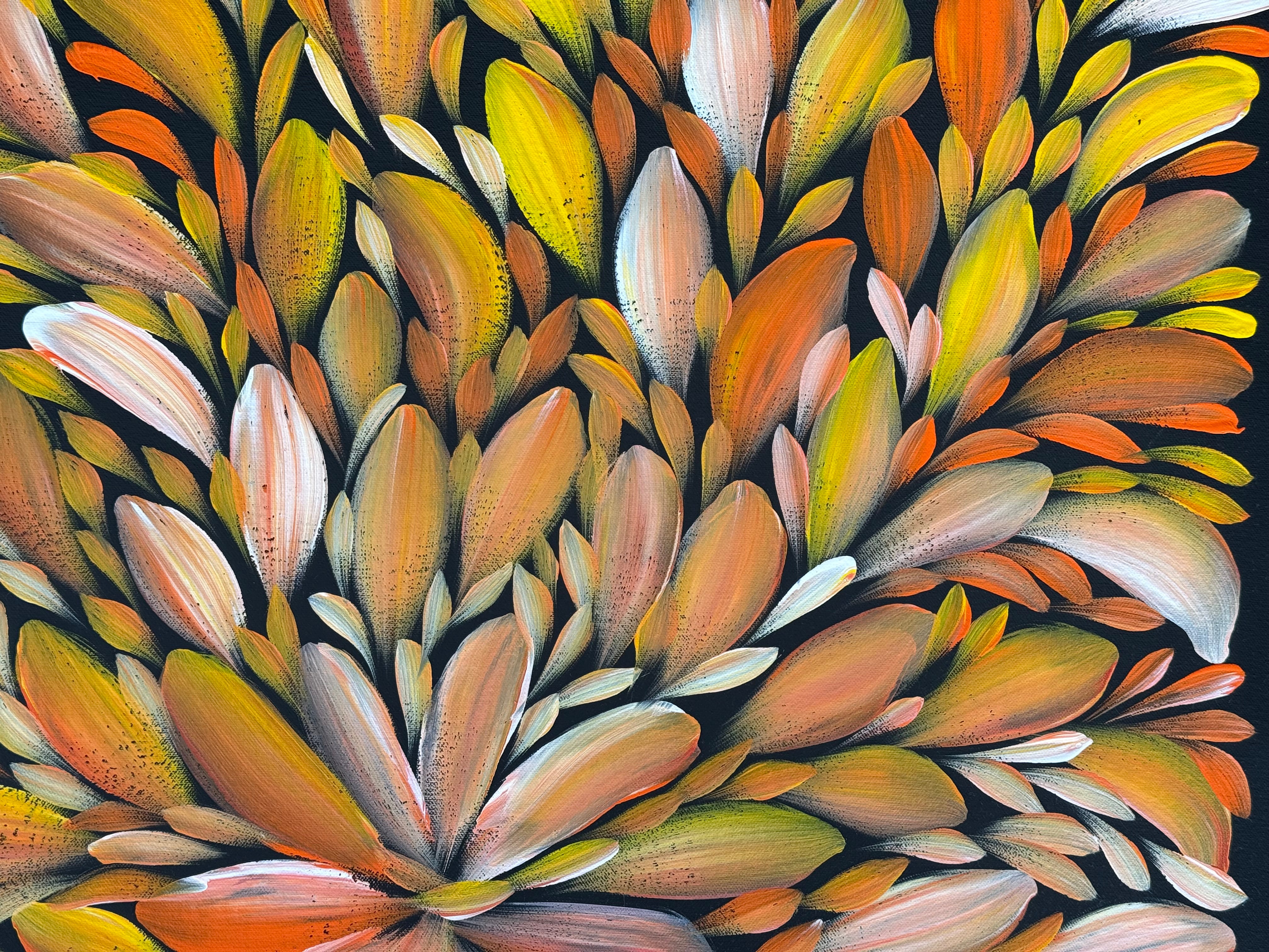 Louise Numina Napananka - Bush Medicine Leaves .75-13