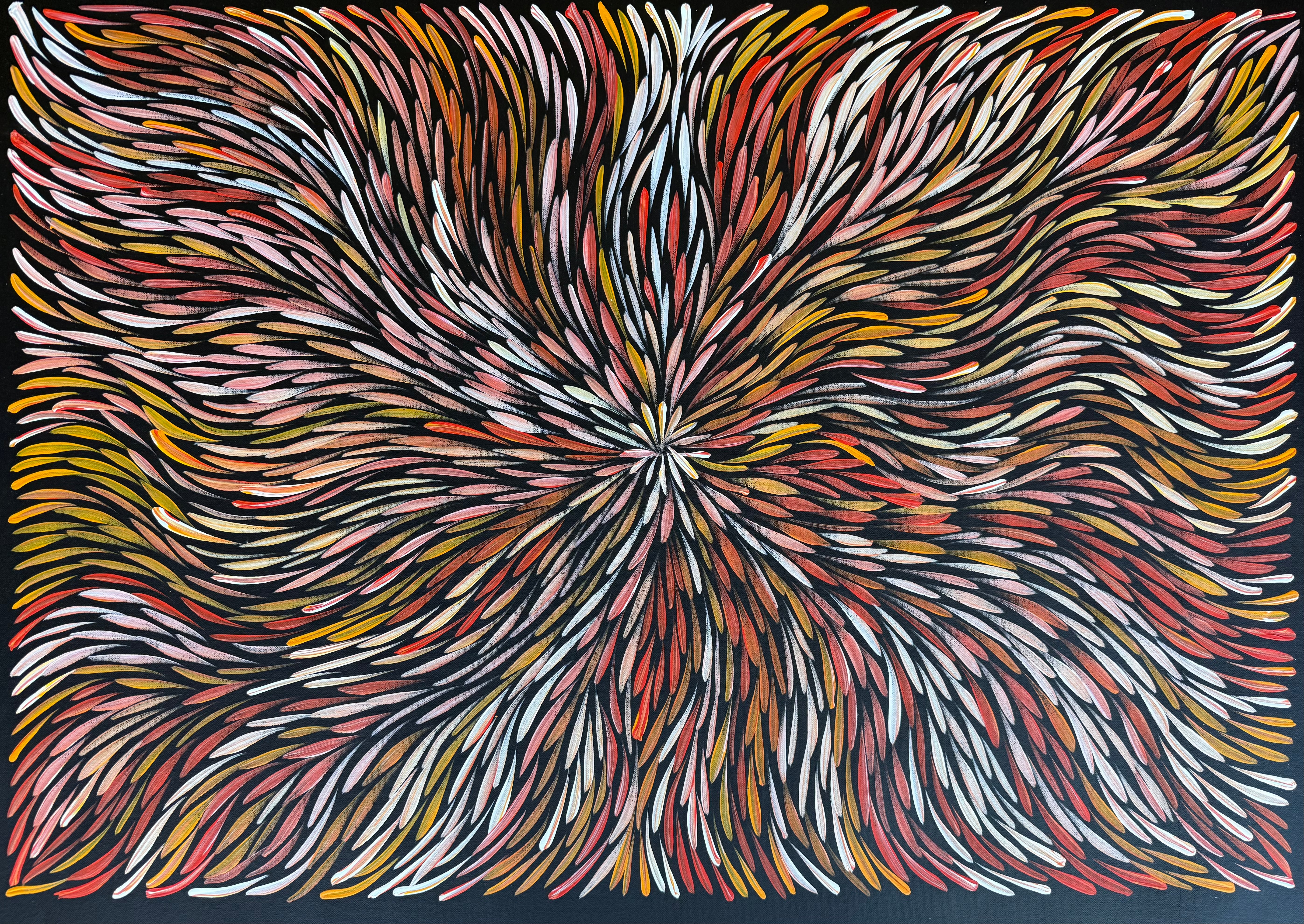 Sharon Numina - Bush Medicine Leaves .50-11