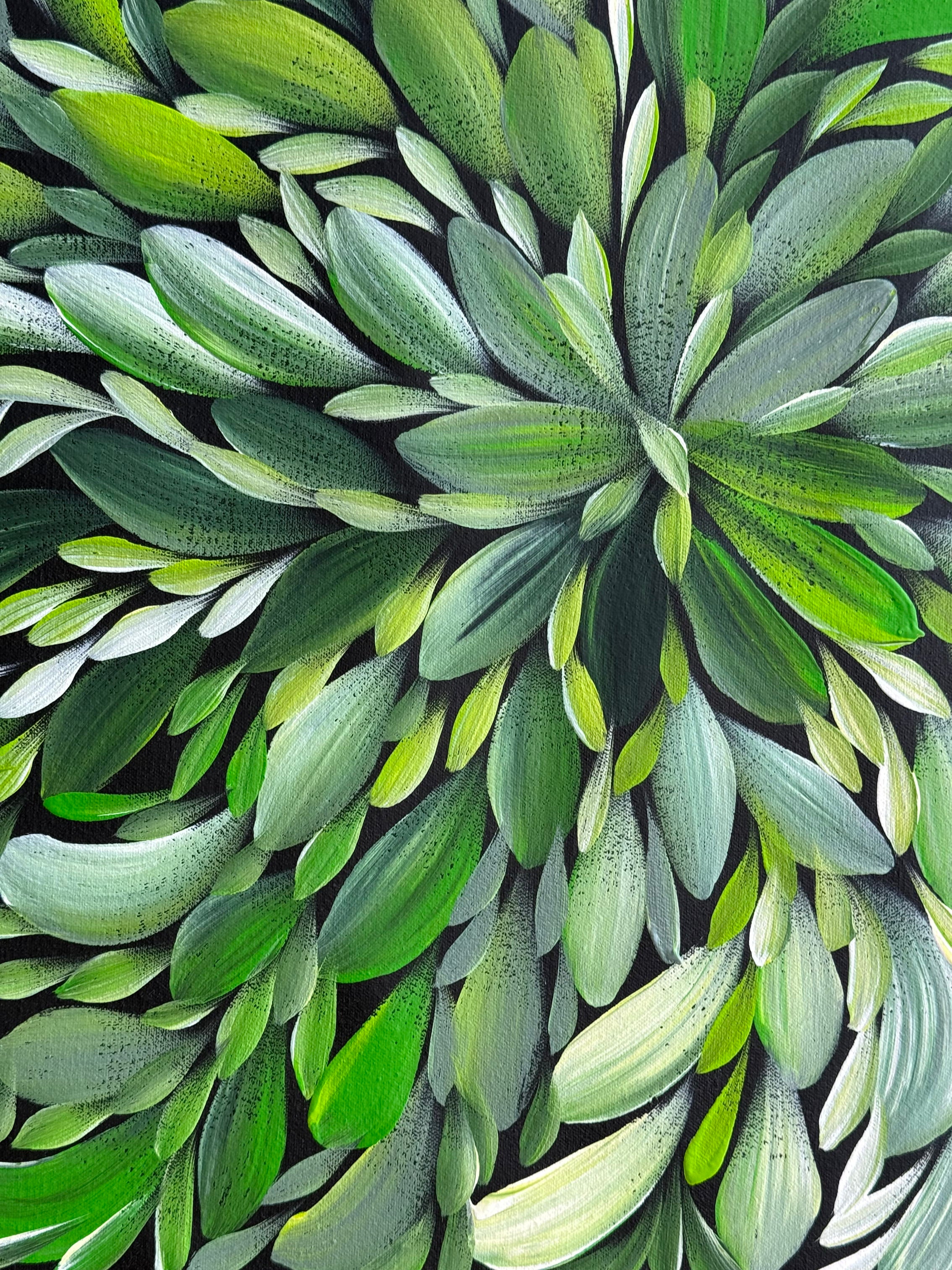 Louise Numina Napananka - Bush Medicine Leaves - 61x61cm .18-10