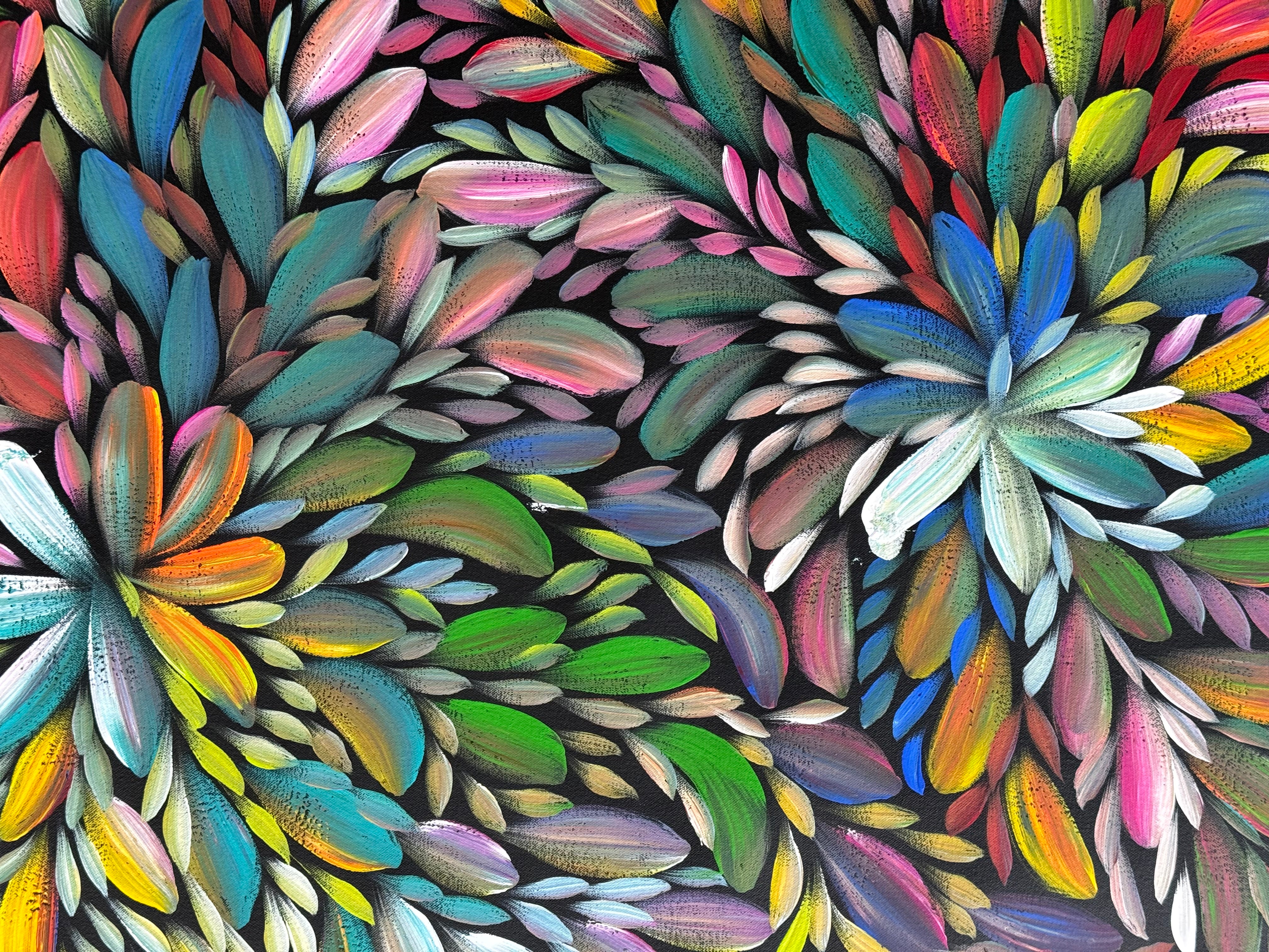 Louise Numina Napananka - Bush Medicine Leaves .16-4