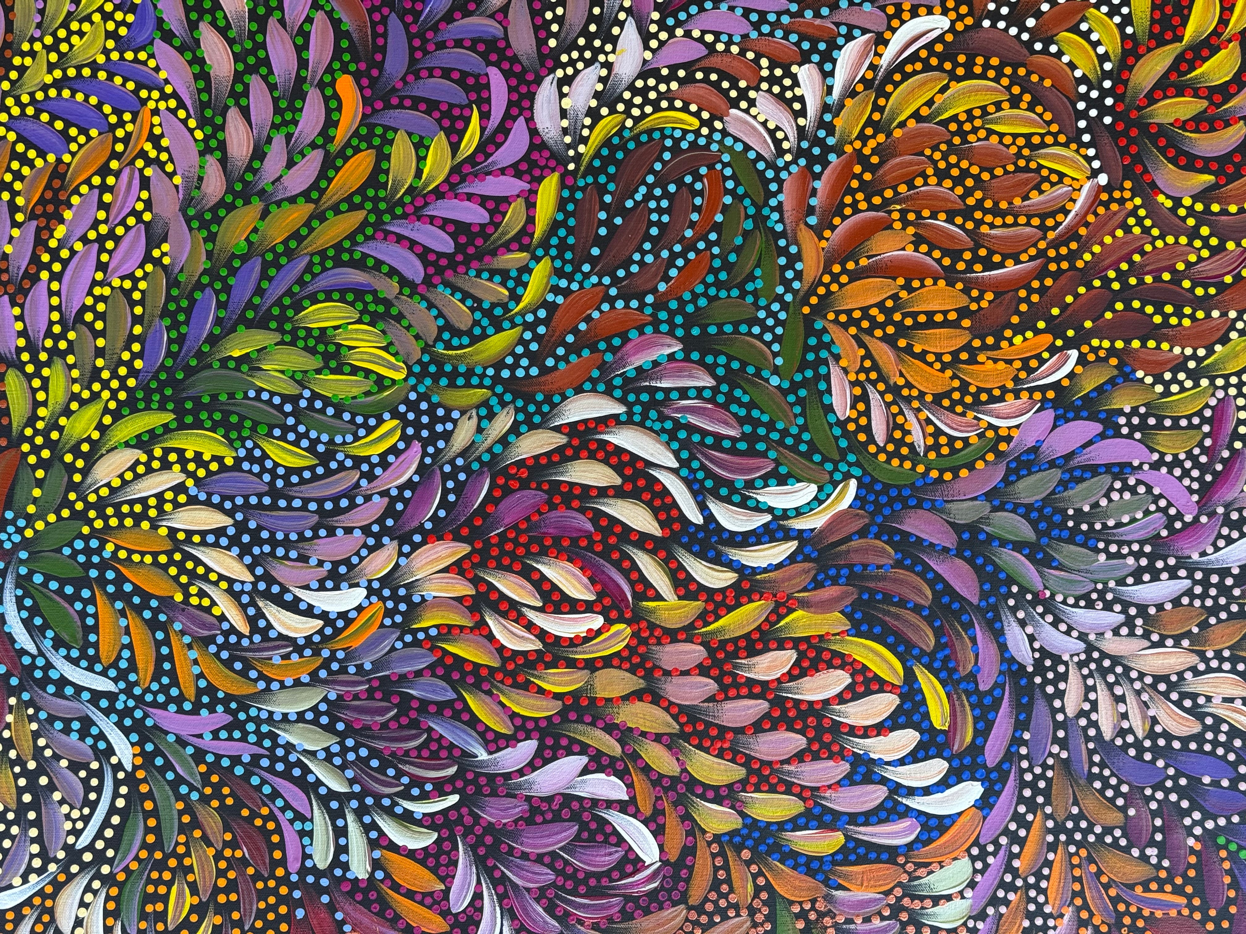 Caroline Numina - Bush Medicine Leaves .91-11