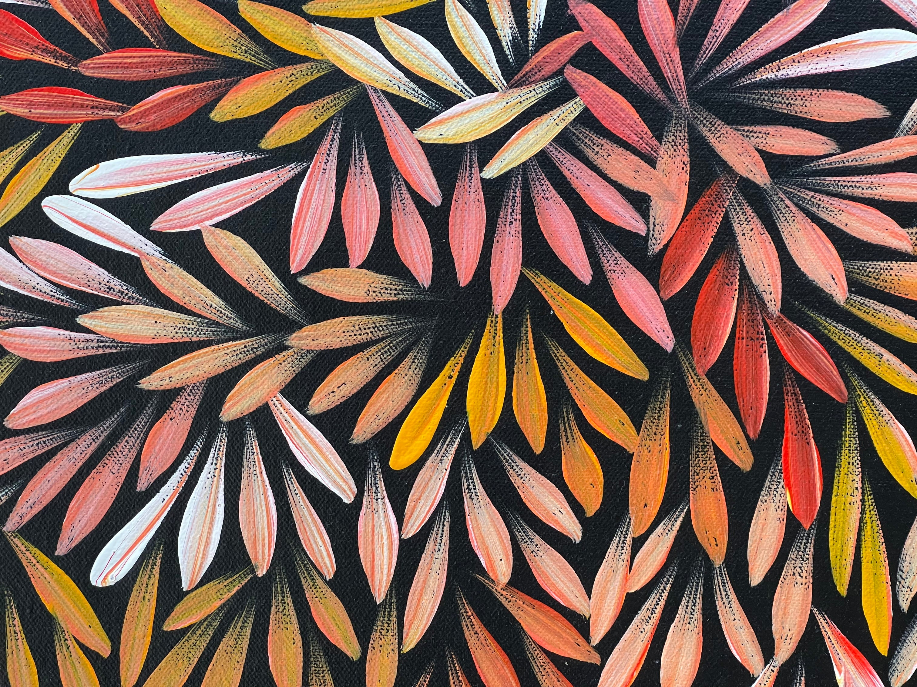 Sharon Numina - Bush Medicine Leaves - 37x54cm .80-28