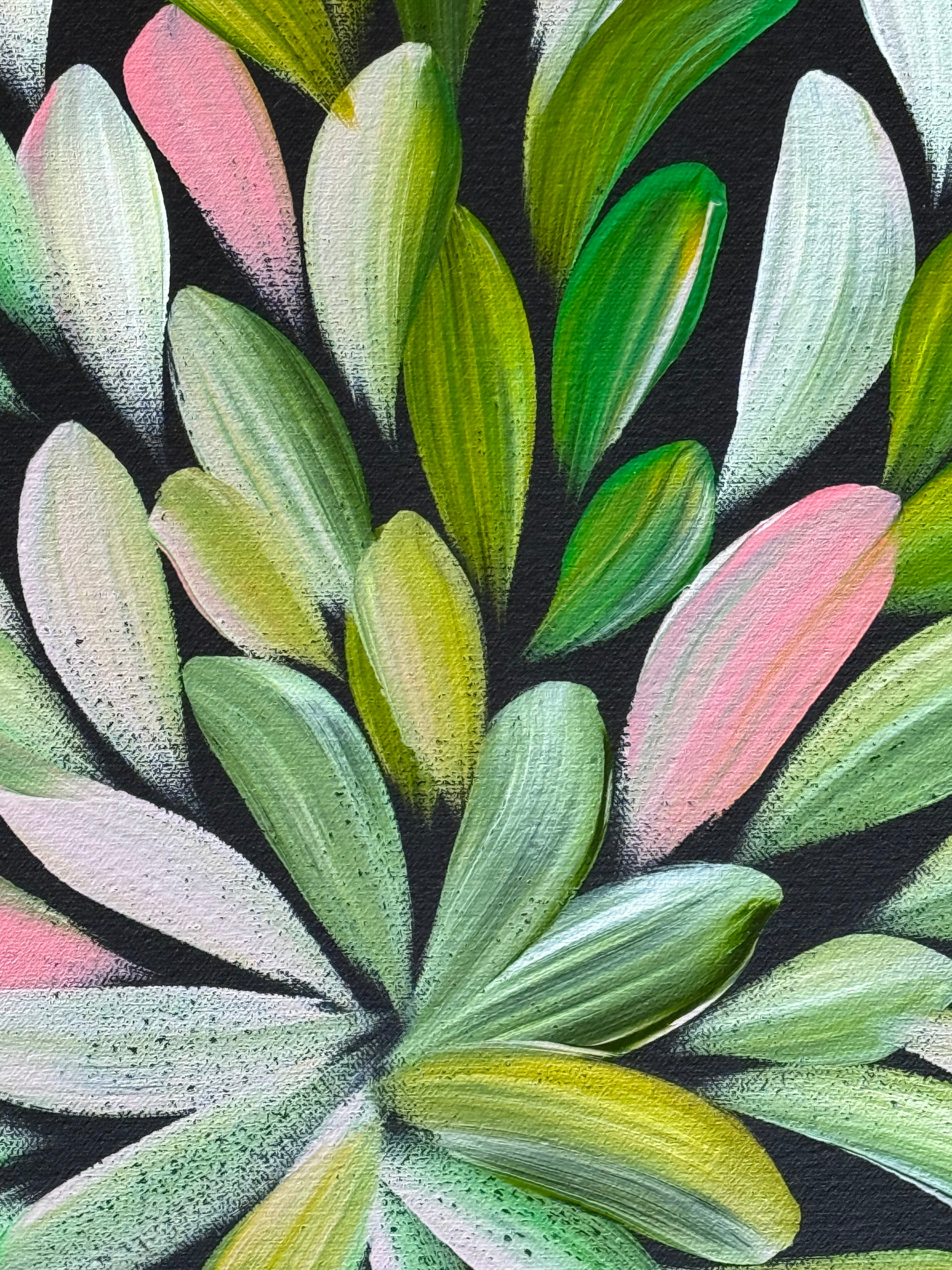 Louise Numina Napananka - Bush Medicine Leaves .30-42 *pre-stretched*