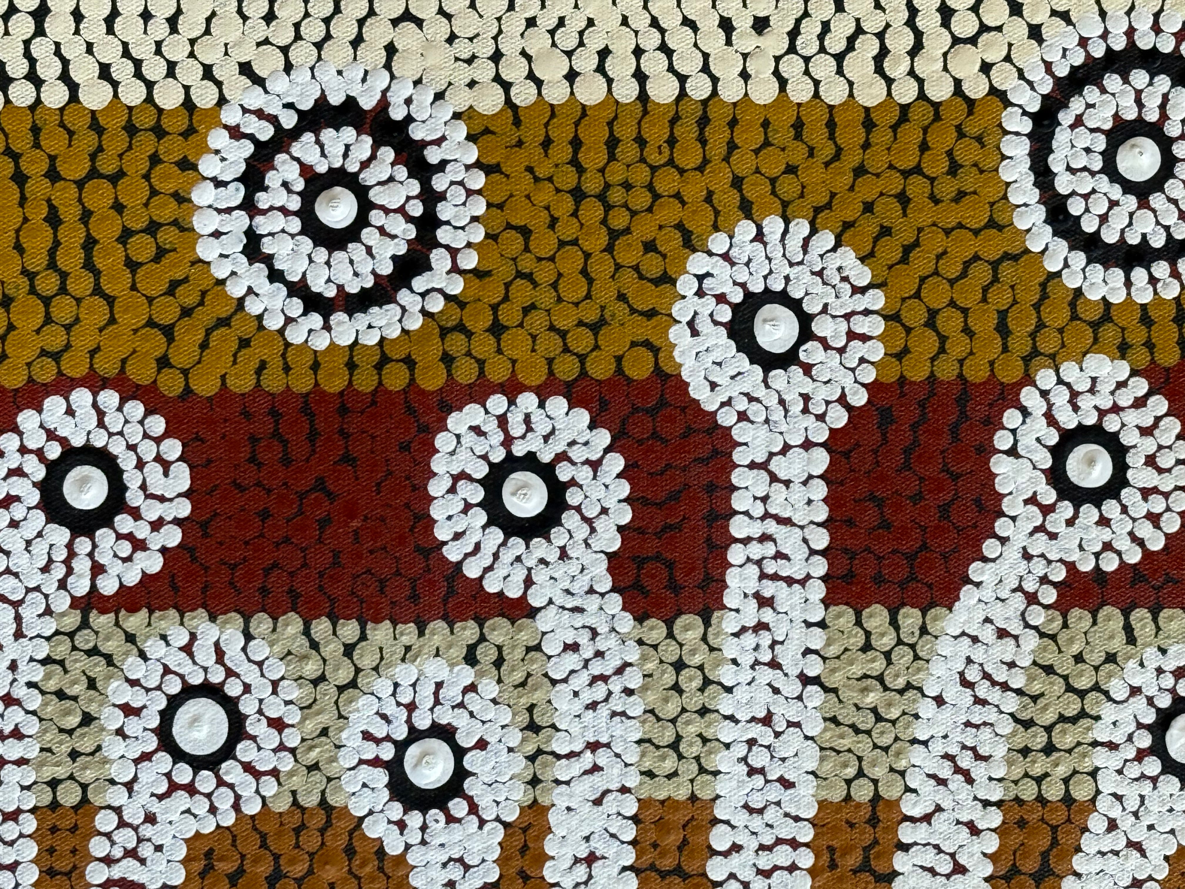 Peter Mbitjana Palmer - Bush Onions Dreaming .98-1