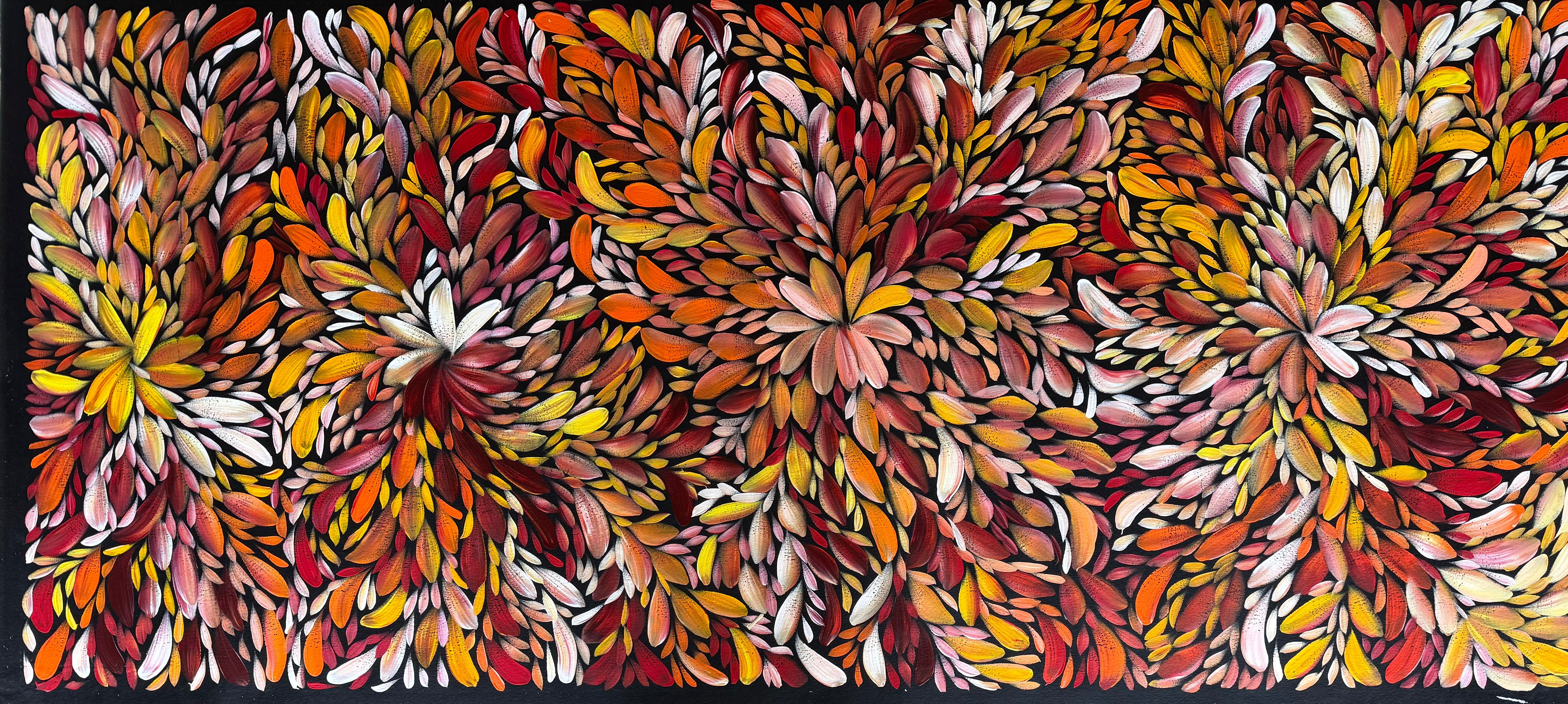 Louise Numina Napananka - Bush Medicine Leaves .24-3