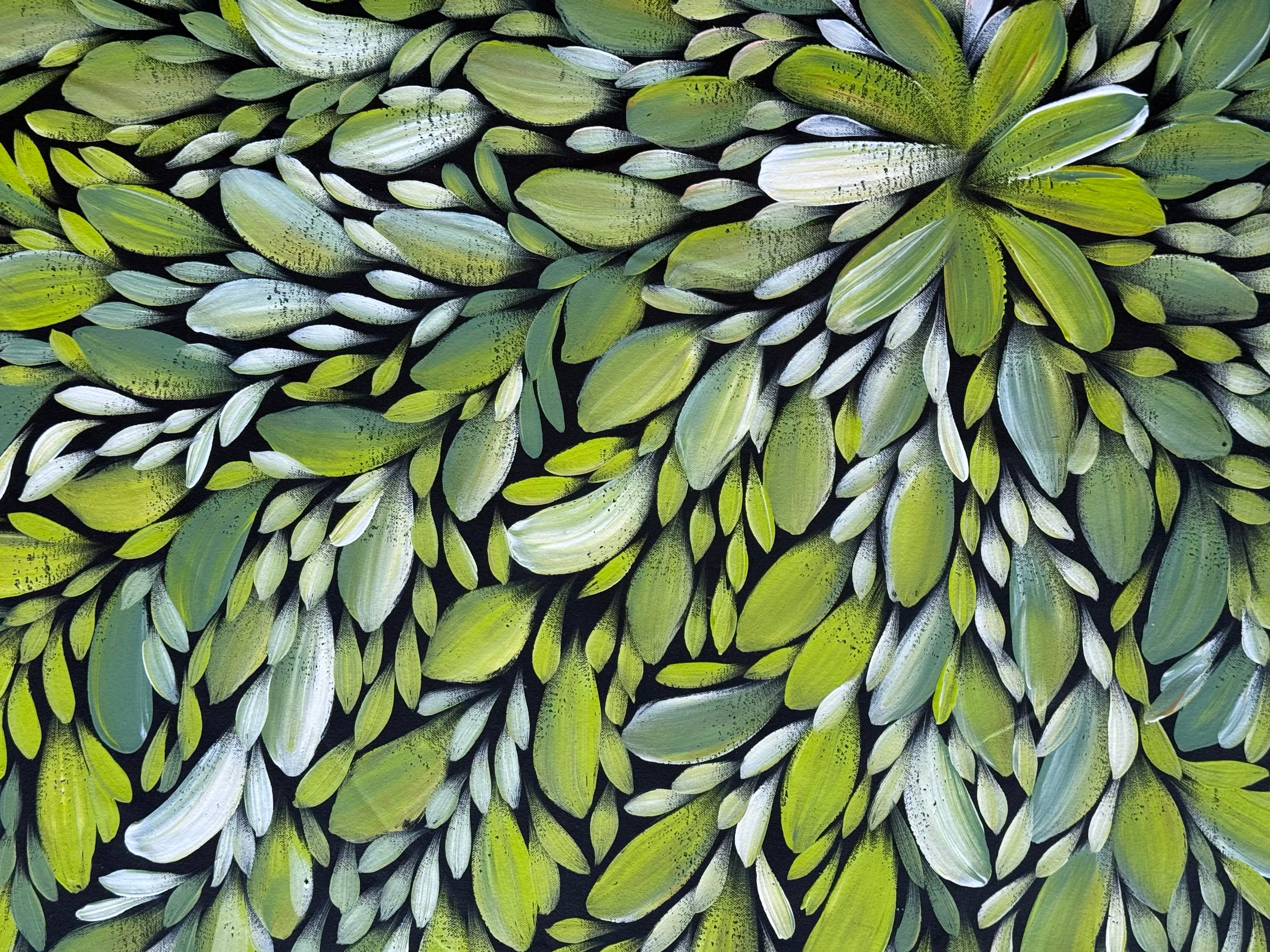 Louise Numina Napananka - Bush Medicine Leaves .49-8