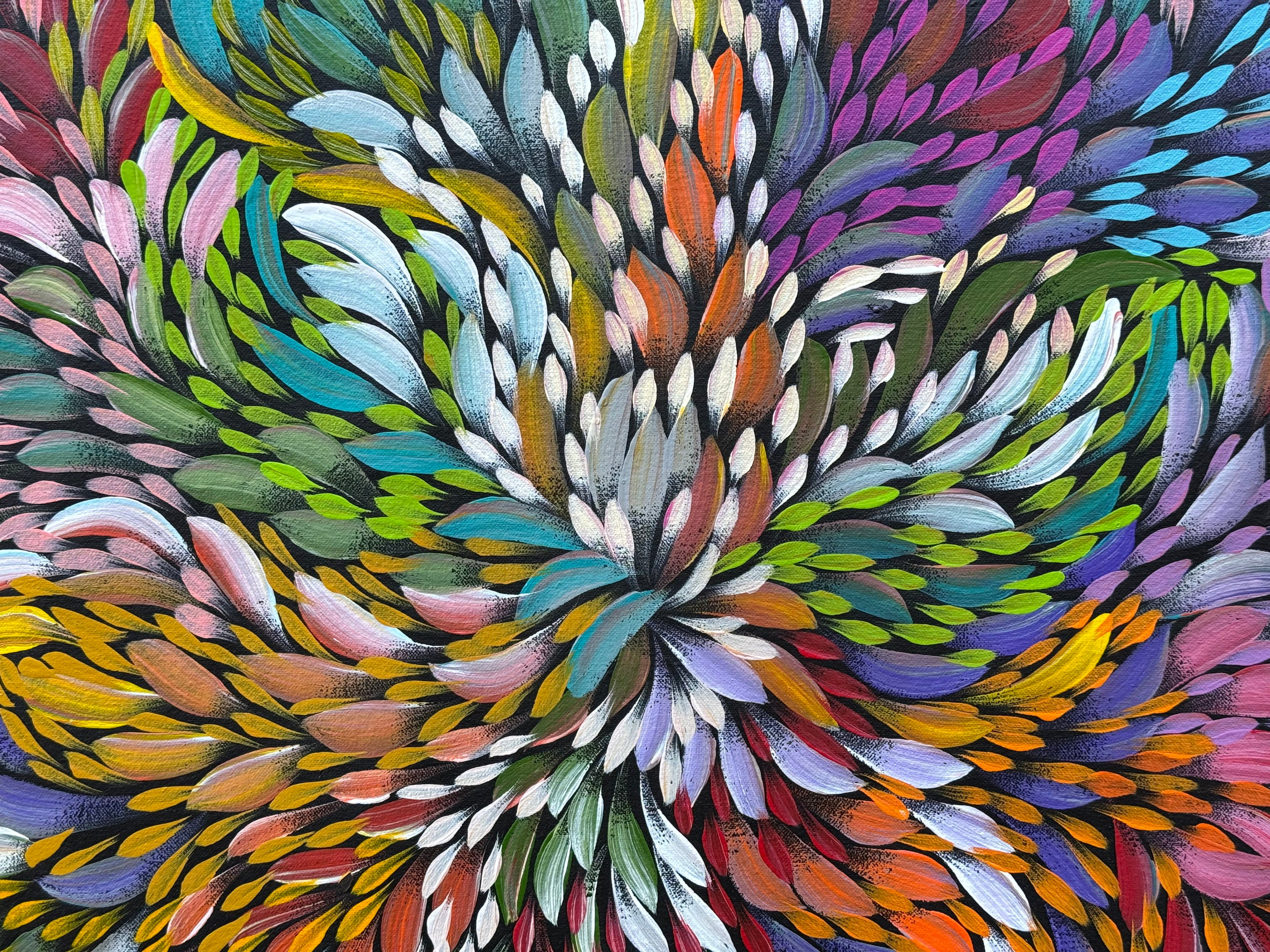 Caroline Numina - Bush Medicine Leaves - 65x83cm .36-1