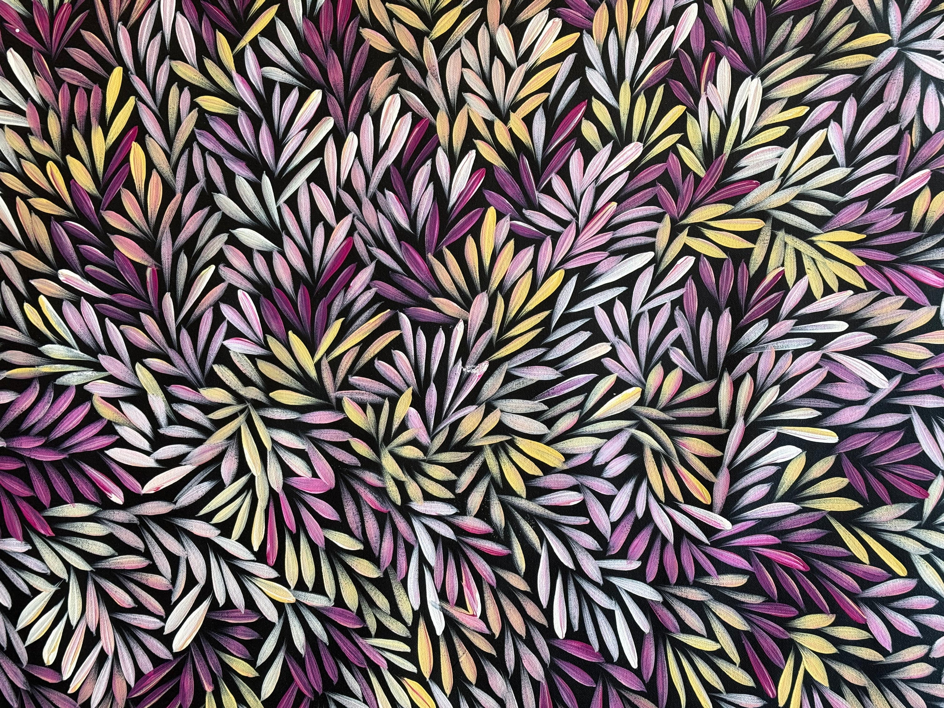 Sharon Numina - Bush Medicine Leaves - 147x85cm .14-32