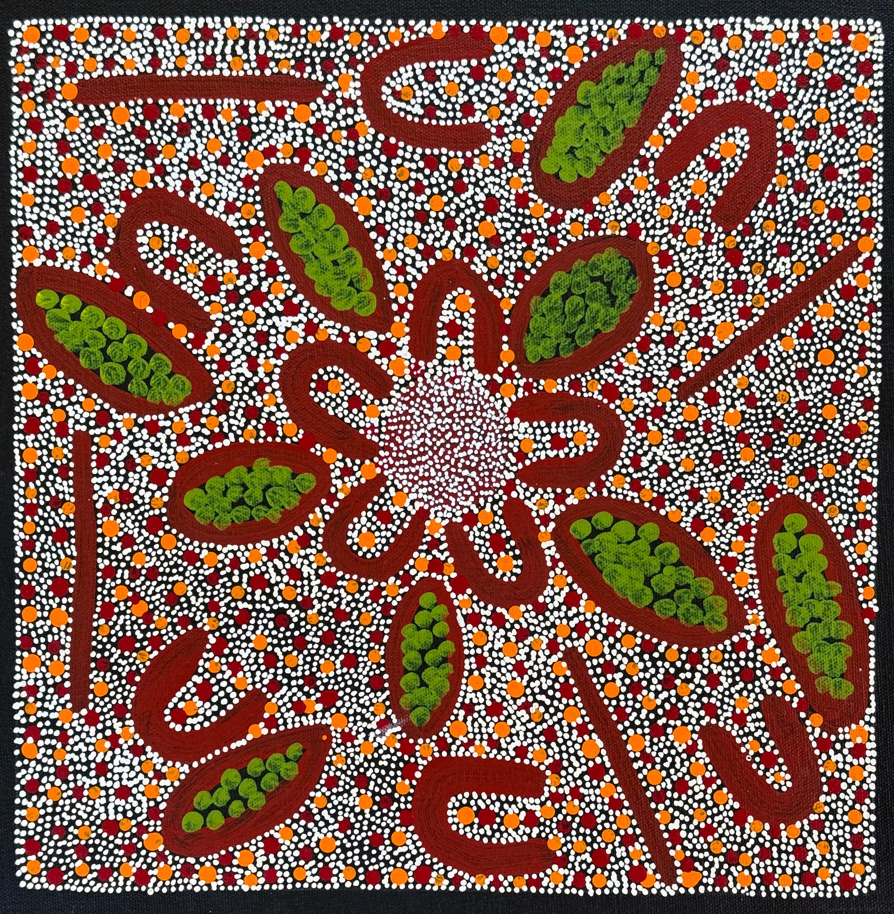 Katie Kemarre - Women Collecting Kurrajong Seeds - 30x30cm .48-17