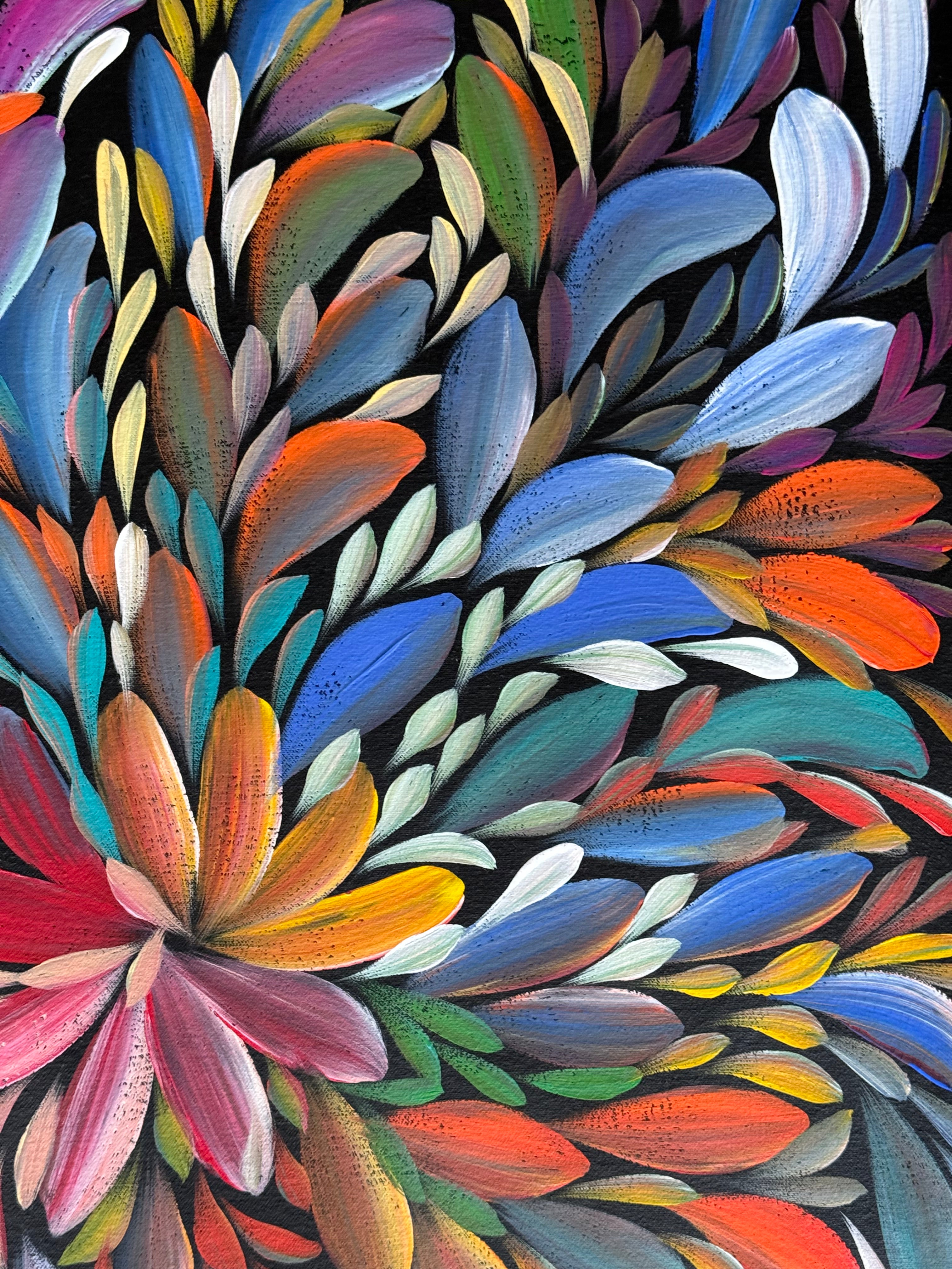 Louise Numina Napananka - Bush Medicine Leaves .16-56